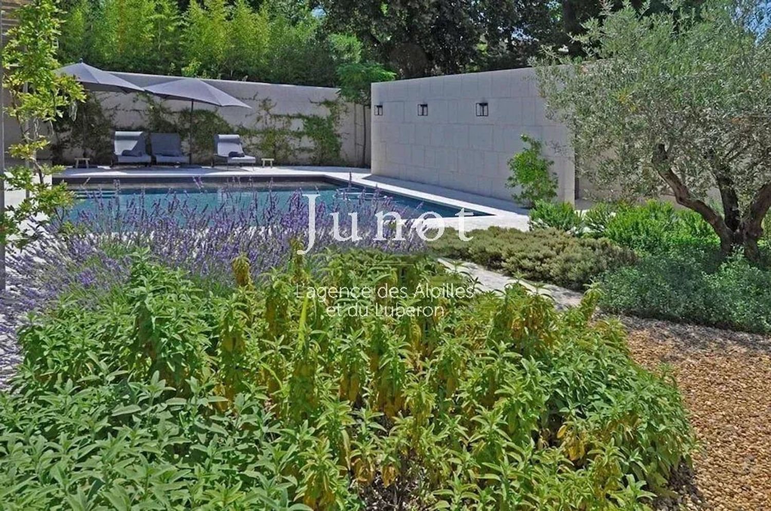 Maison à louer, 180m², Saint-Rémy-de-Provence