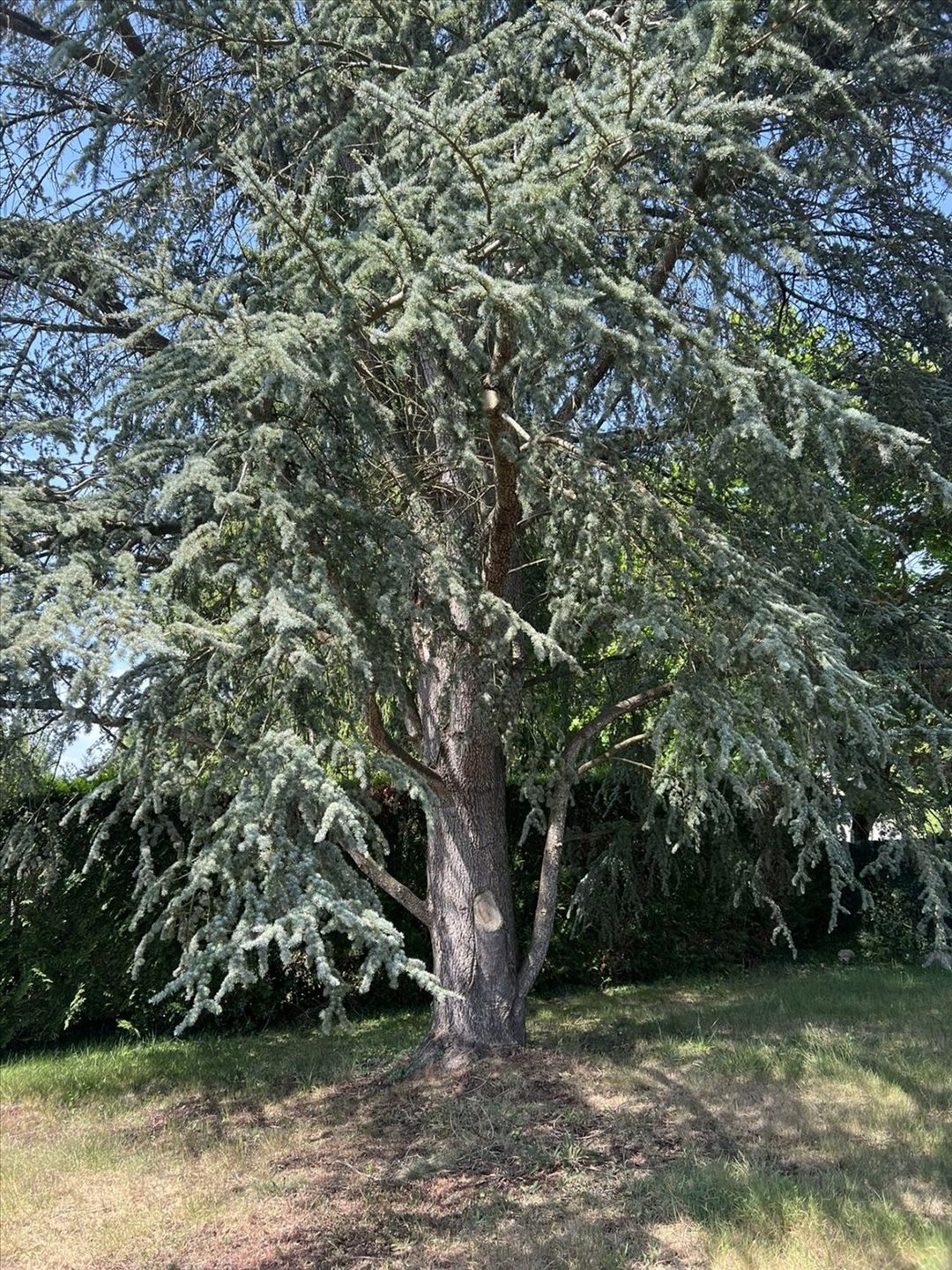 Maison à vendre, 170m², Sonchamp