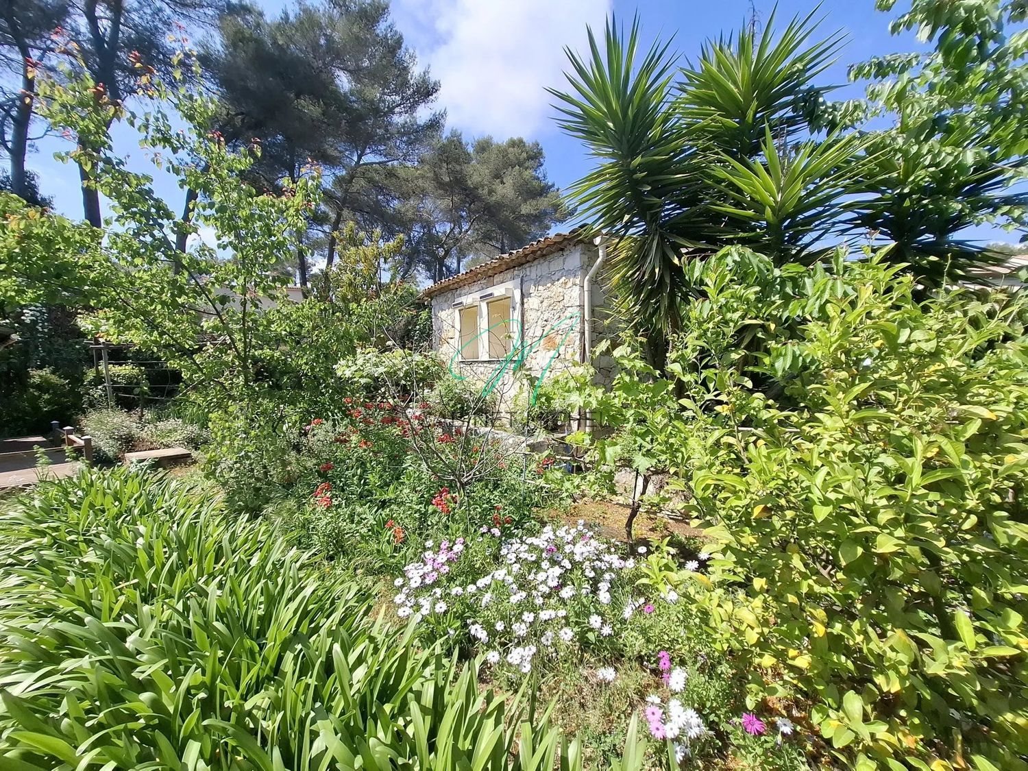 Maison à vendre, 100m², Roquefort-les-Pins