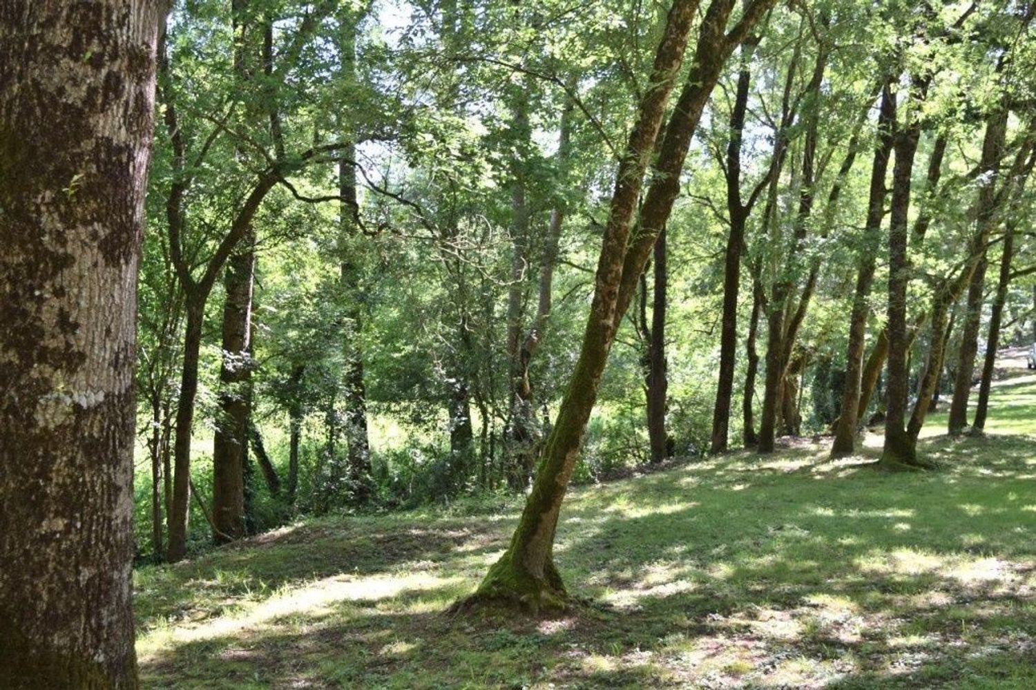 Maison à vendre, 190m², Aigrefeuille-sur-Maine