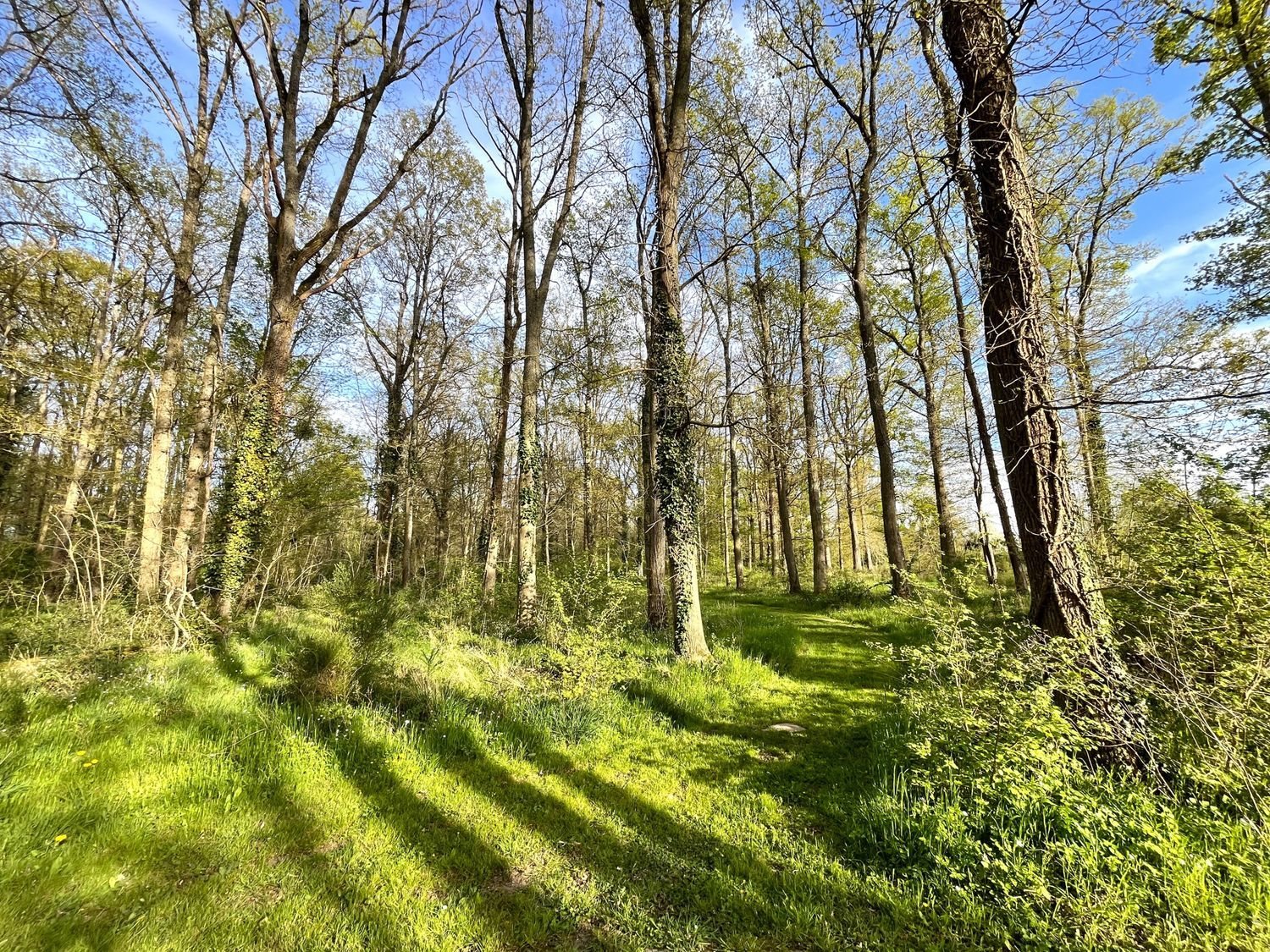 Maison à vendre, 123m², Saint-Maurice-sur-Fessard