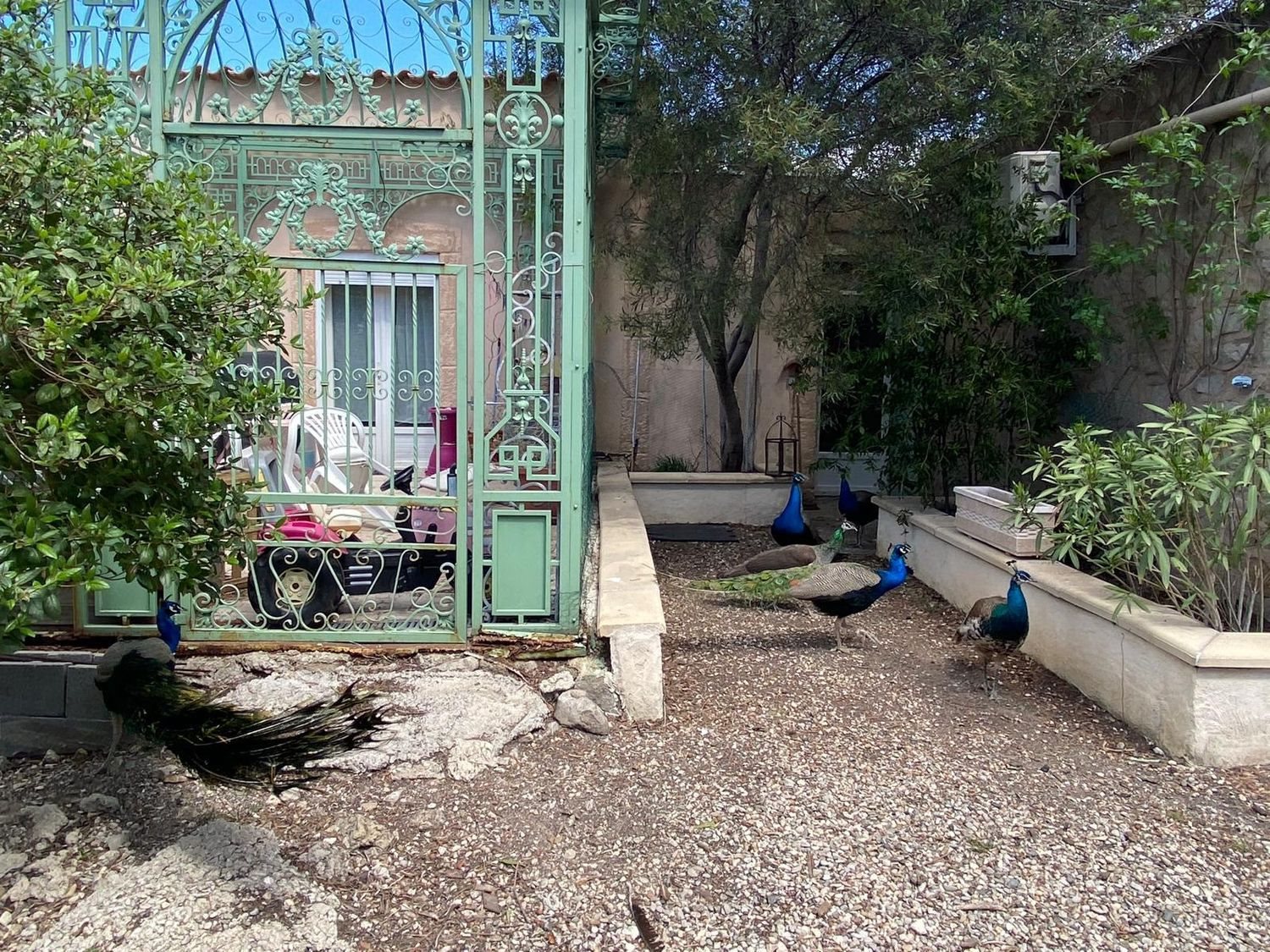 Maison à vendre, 220m², Mèze