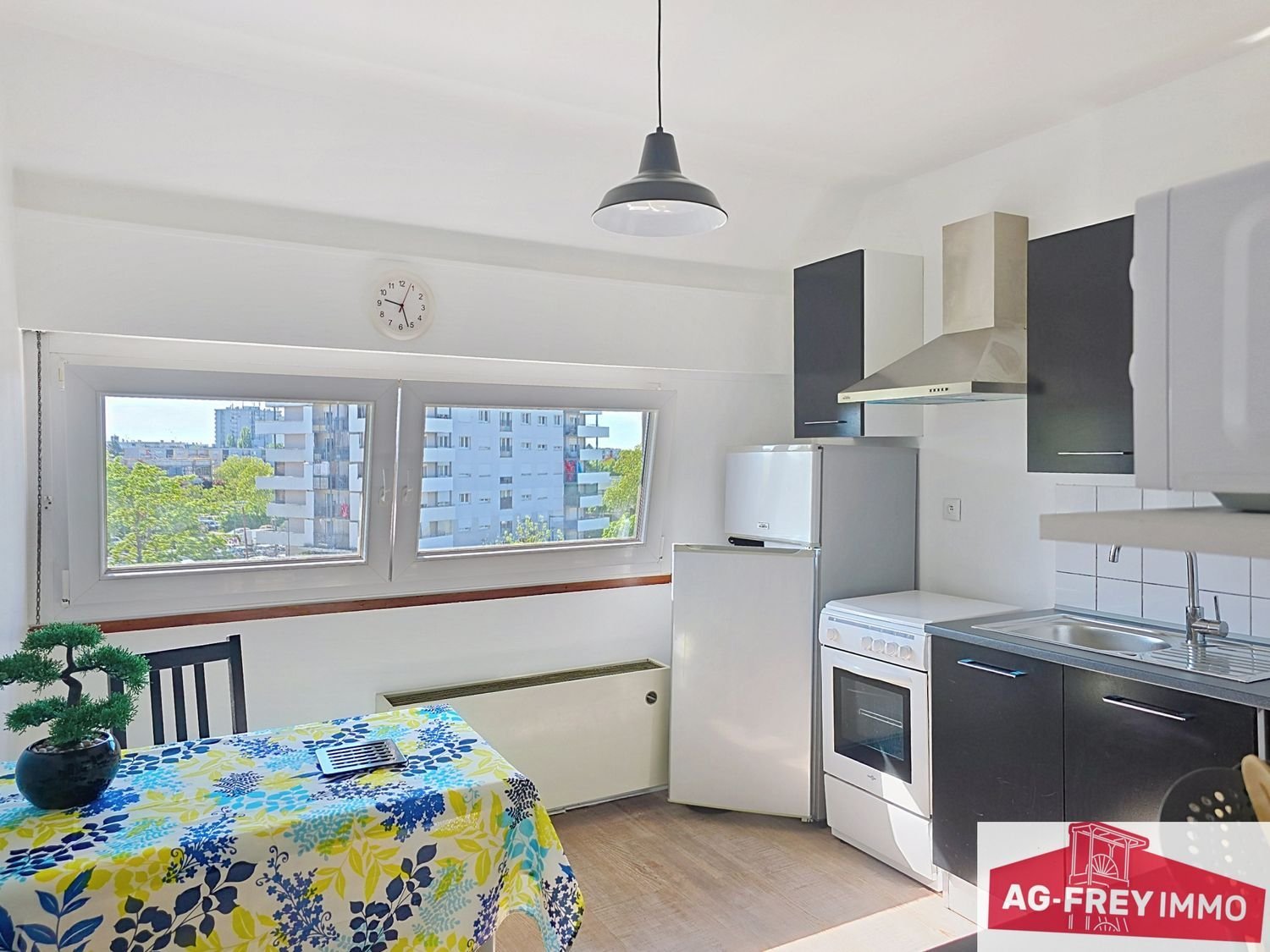Appartement à louer, 31m², Colmar