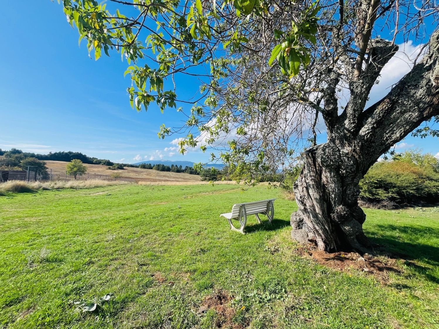 Maison à vendre, 443m², Sault