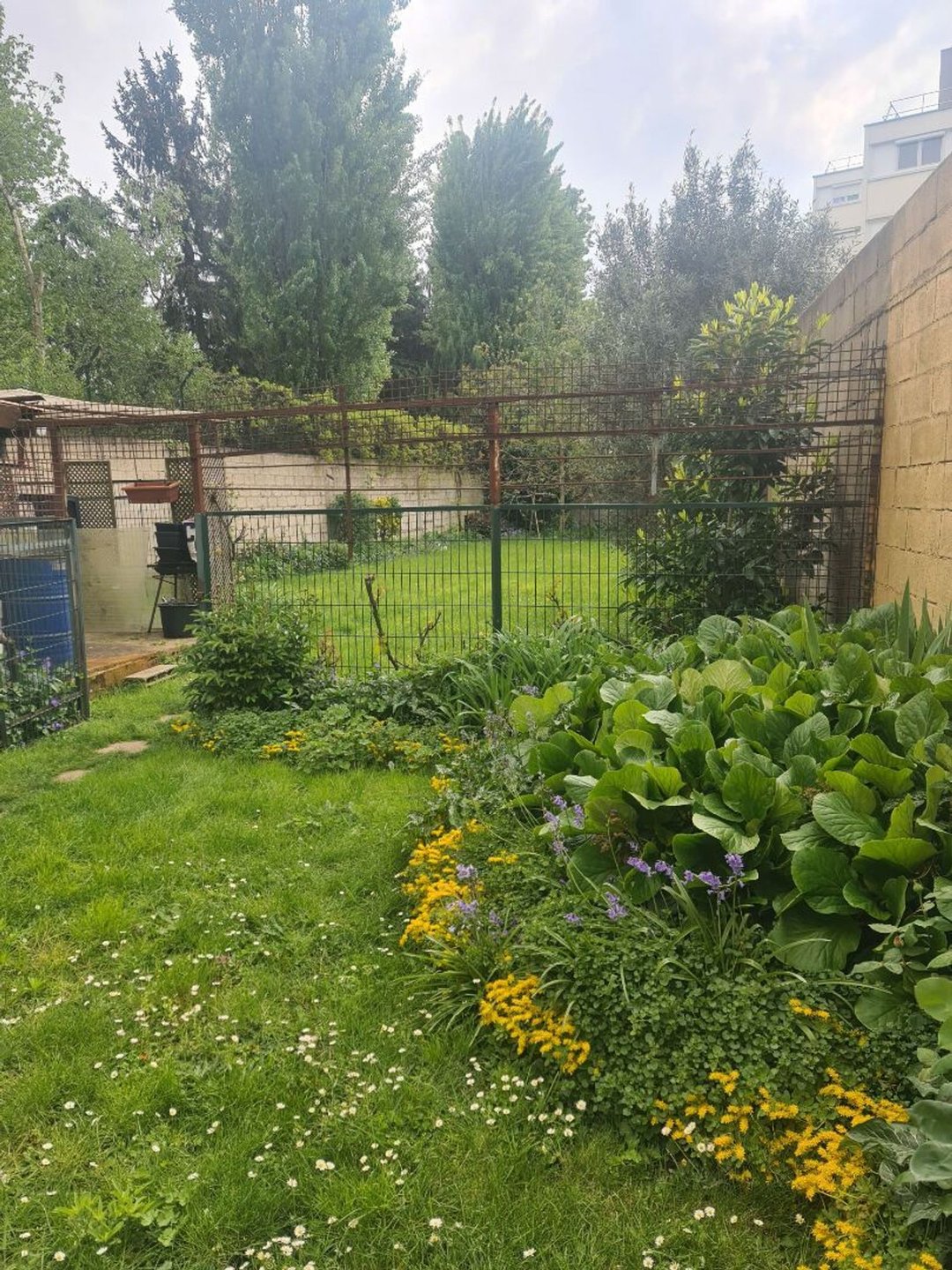Appartement à vendre, 37m², Montreuil