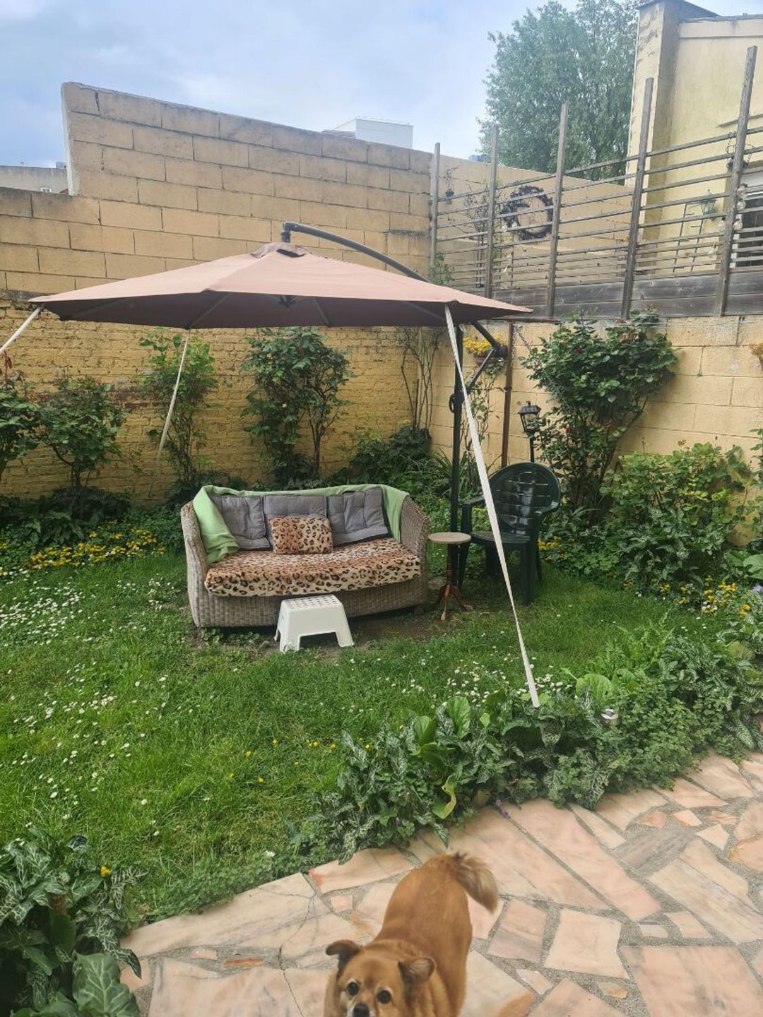 Appartement à vendre, 37m², Montreuil