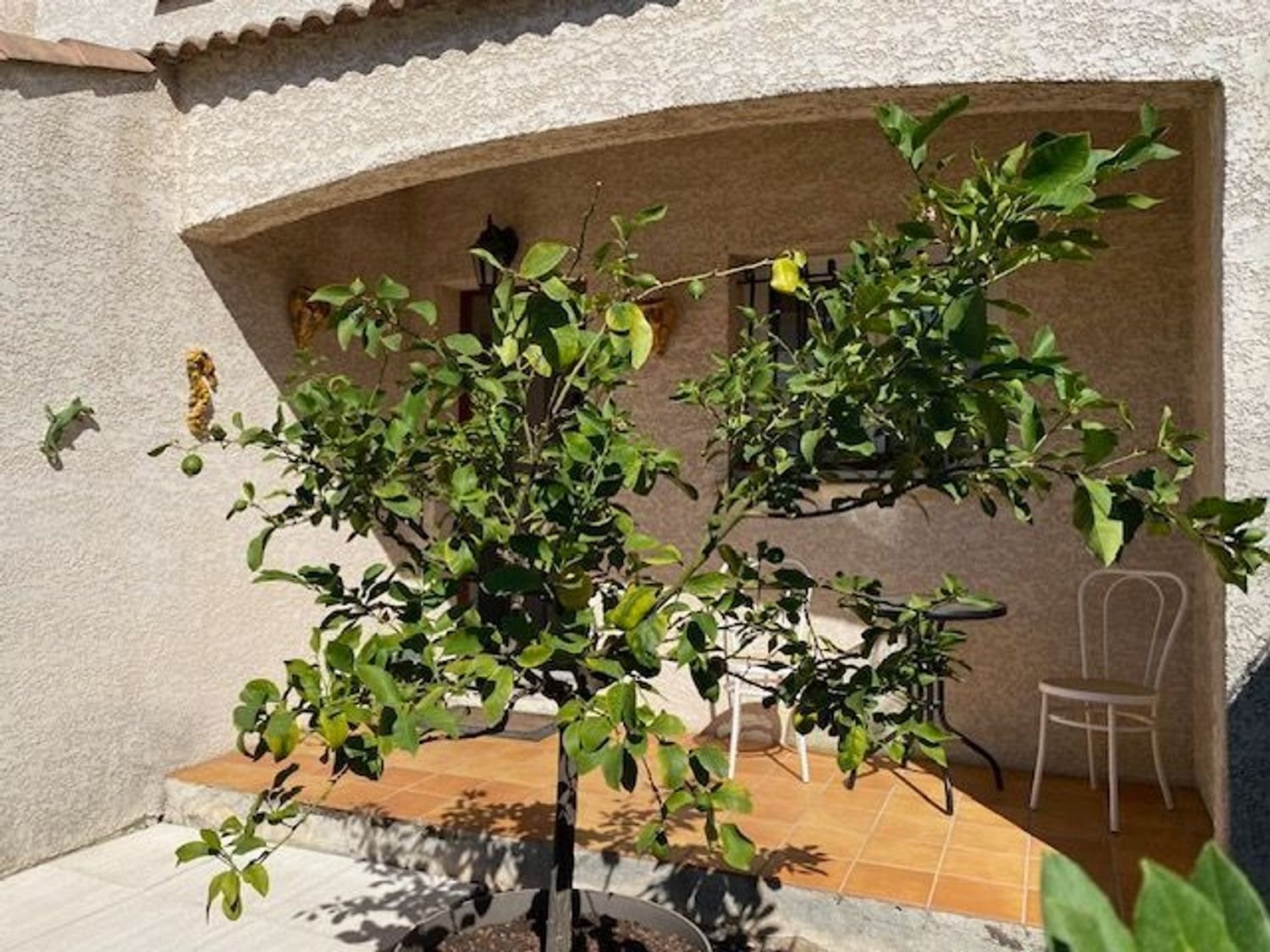 Maison à vendre, 84m², Mèze