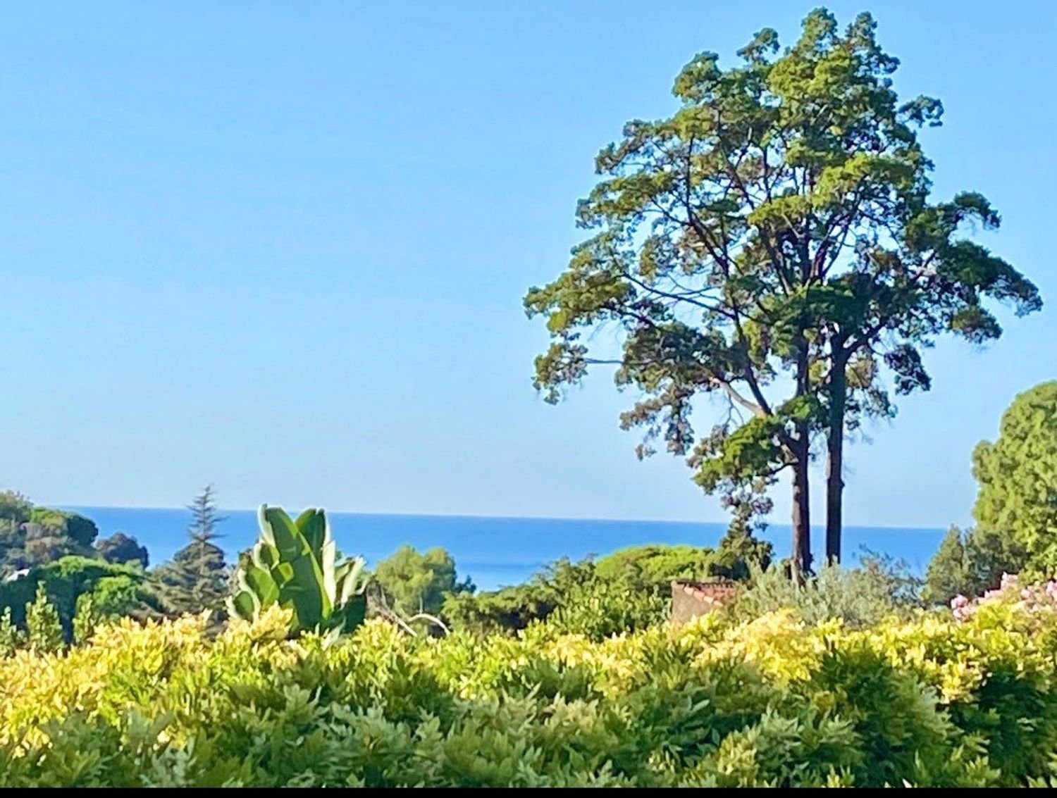 Maison à vendre, 1000m², Cannes
