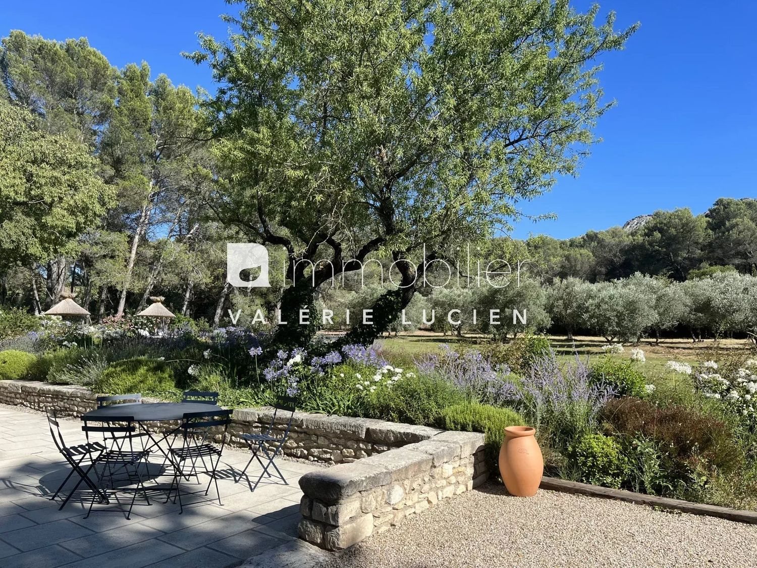 Maison à louer, 300m², Saint-Rémy-de-Provence
