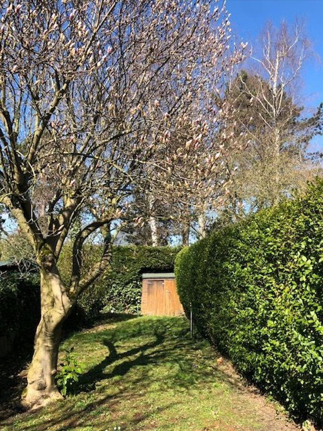 Maison à vendre, 105m², Marcq-en-Baroeul