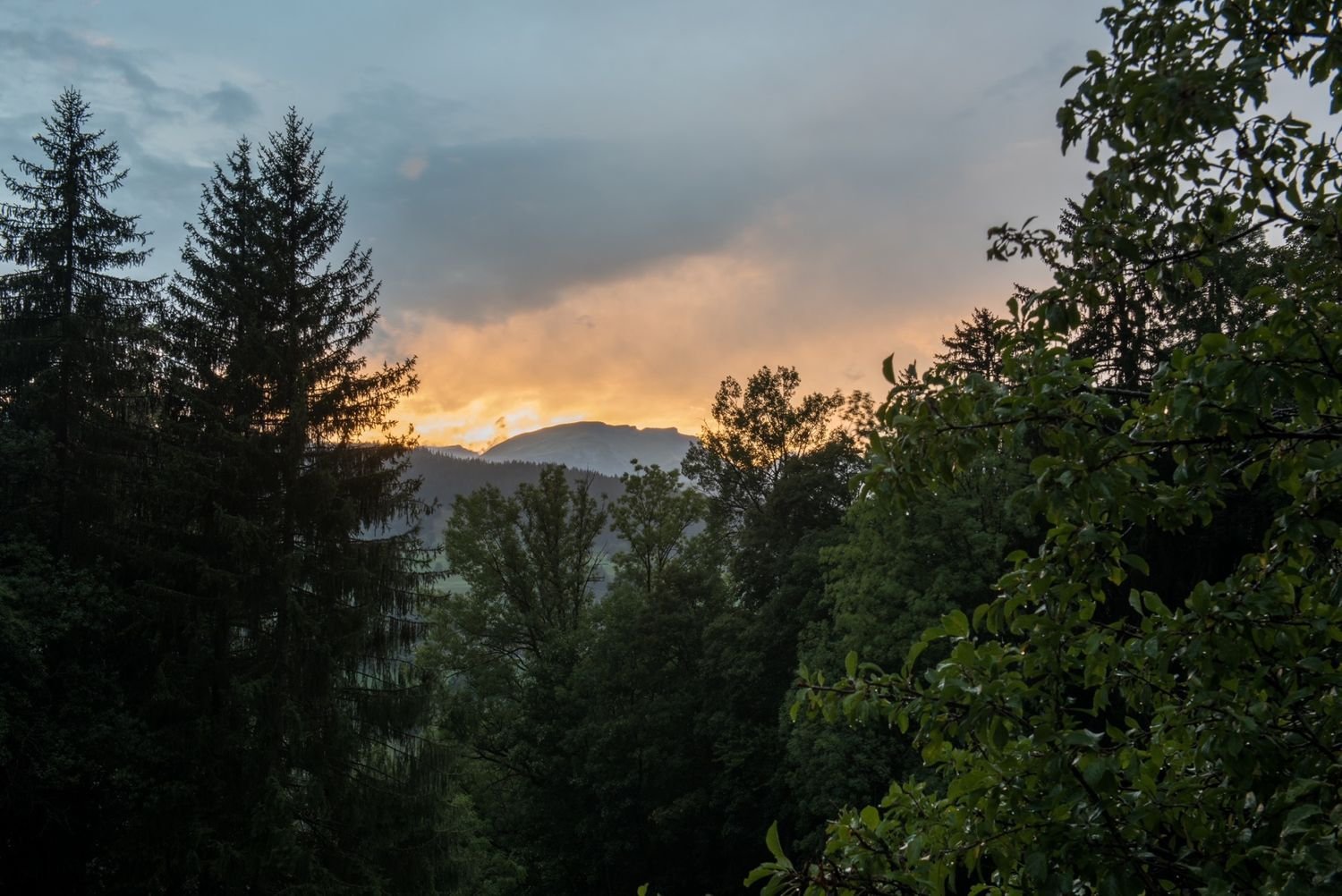 Maison à vendre, 595m², Megève