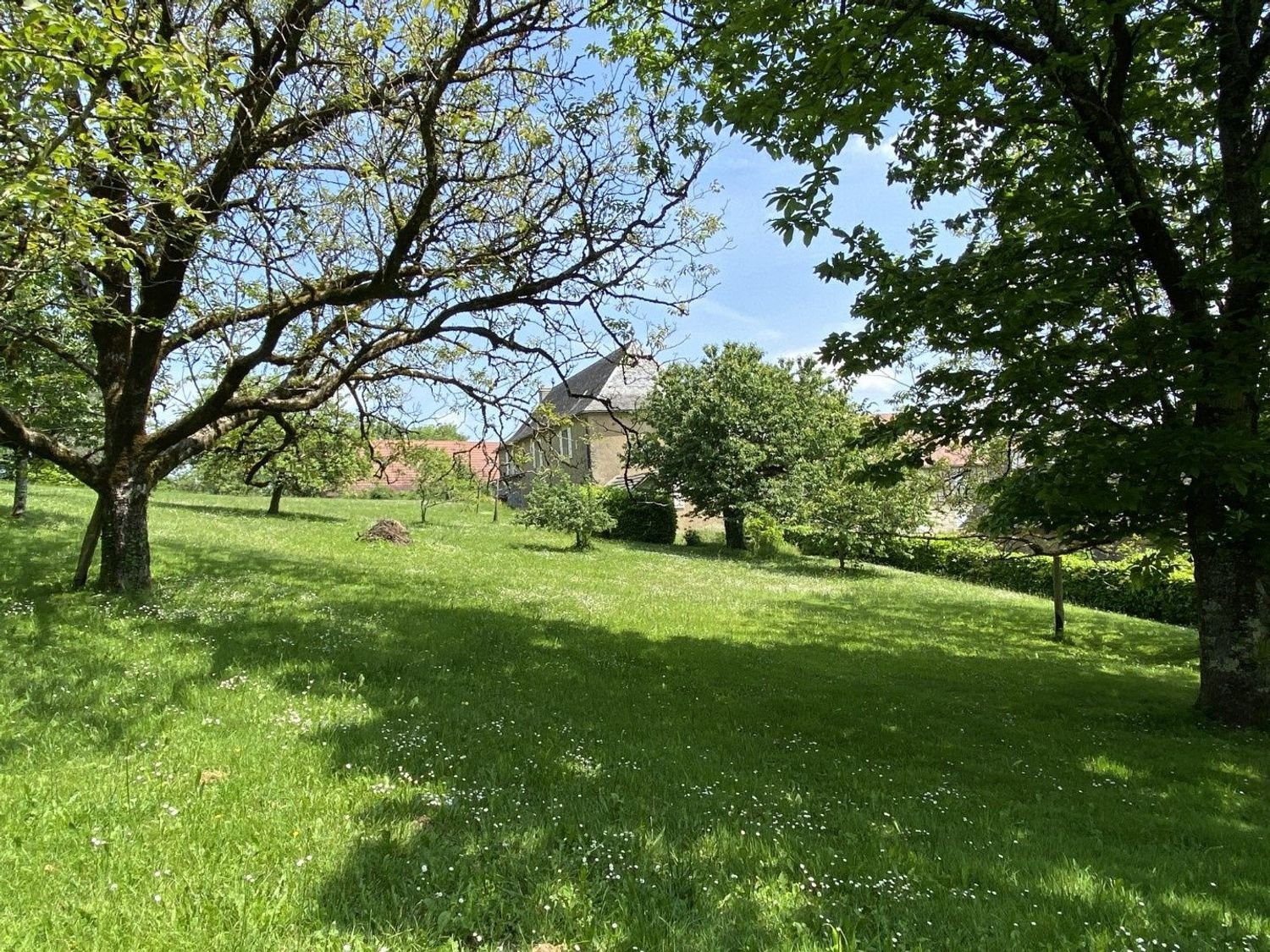 Maison à vendre, 241m², Juillac