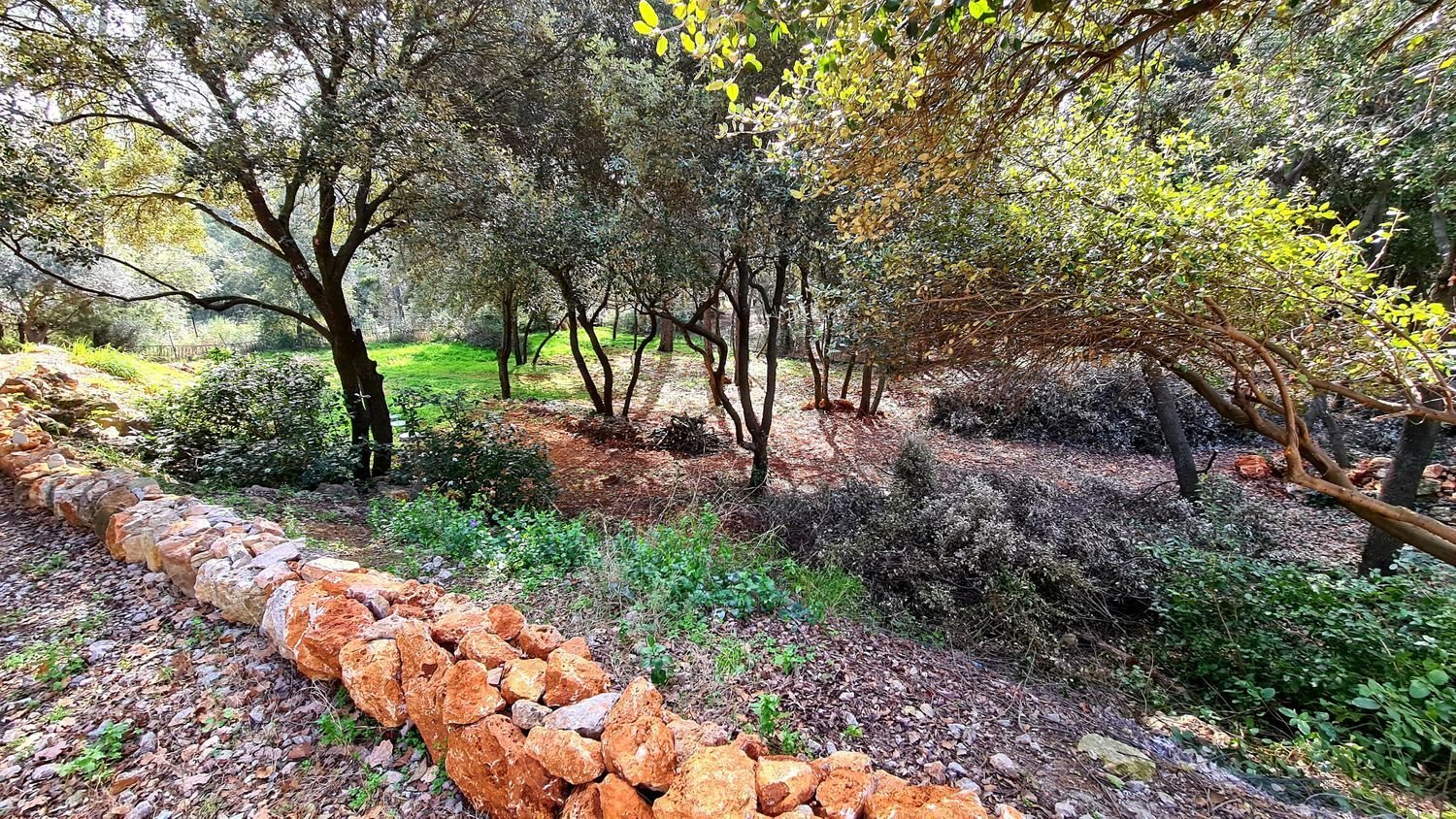 Maison à vendre, 150m², Trans-en-Provence