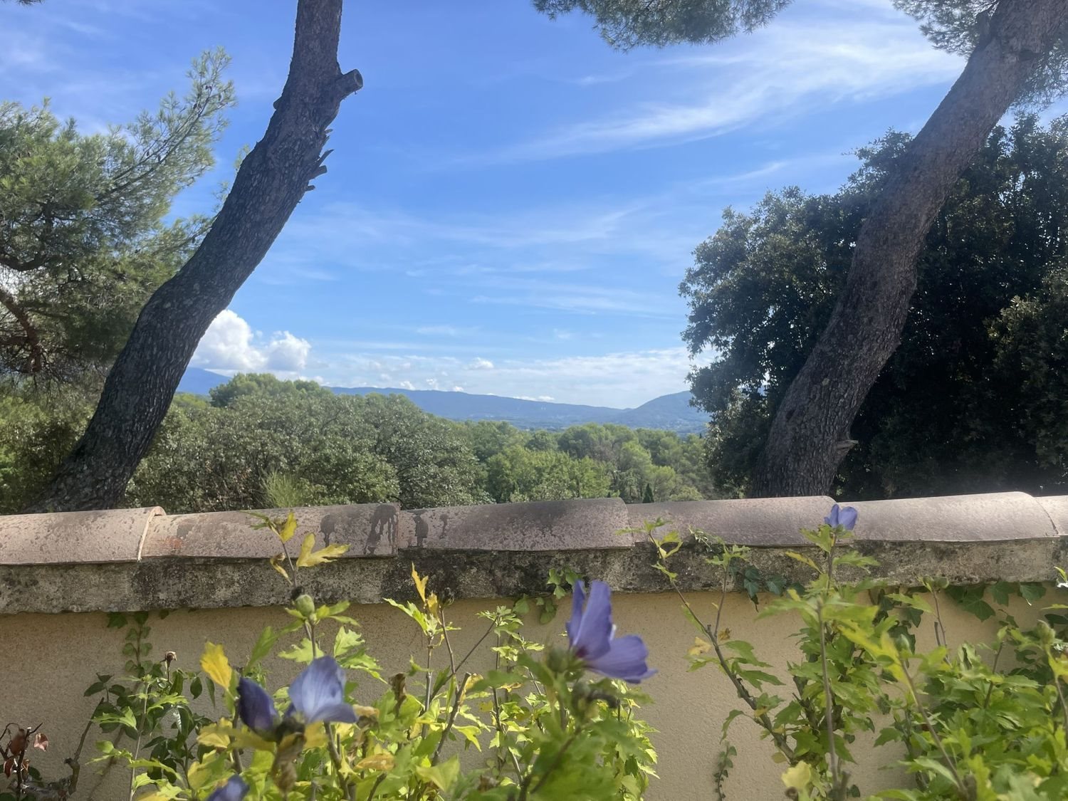 Maison à vendre, 145m², Vaison-la-Romaine