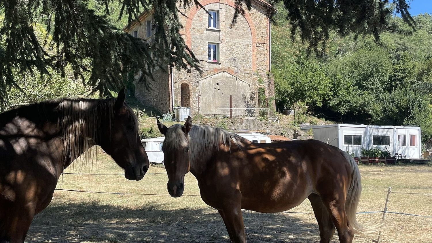 Maison à vendre, 223m², Le Martinet
