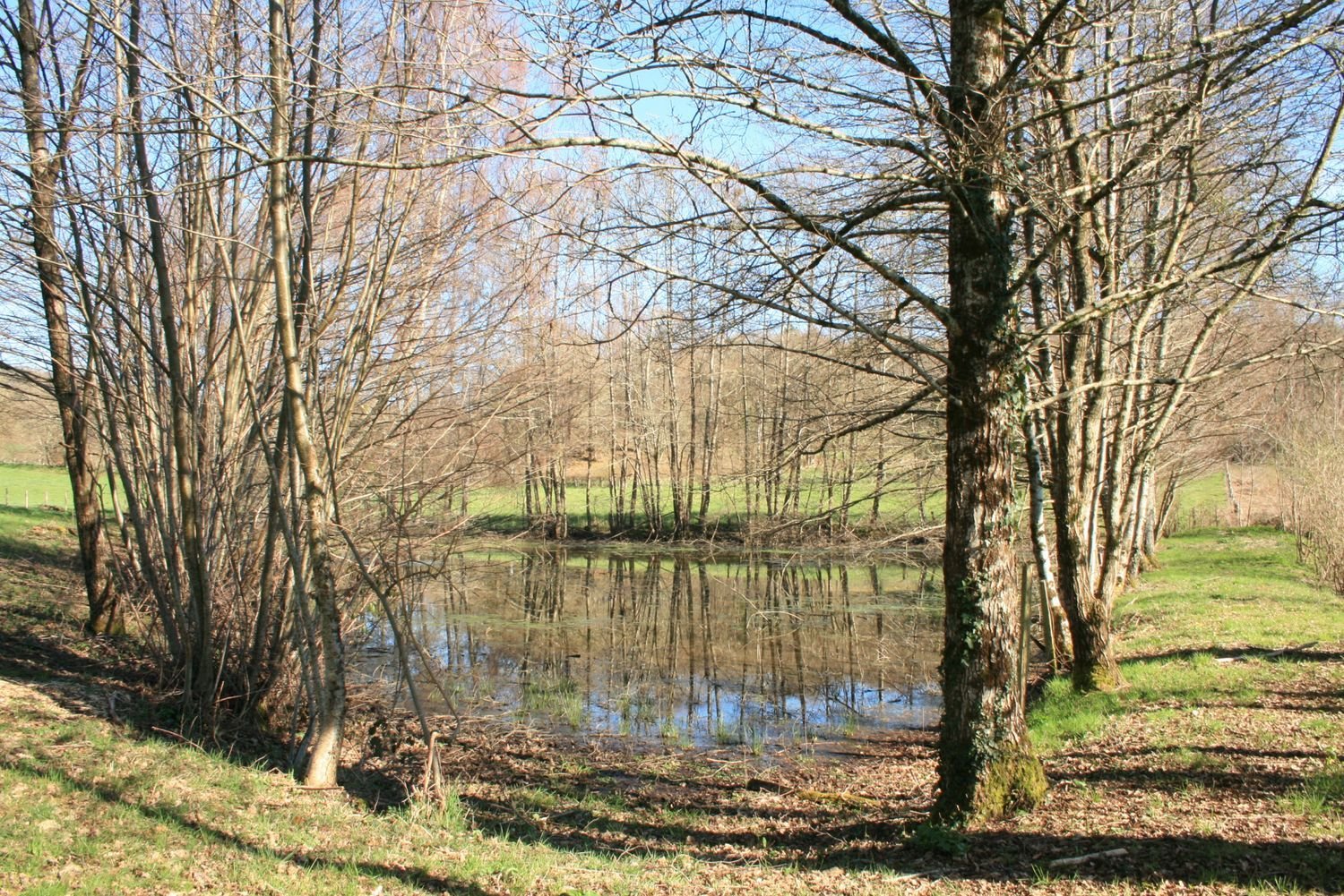 Maison à vendre, 140m², La Porcherie