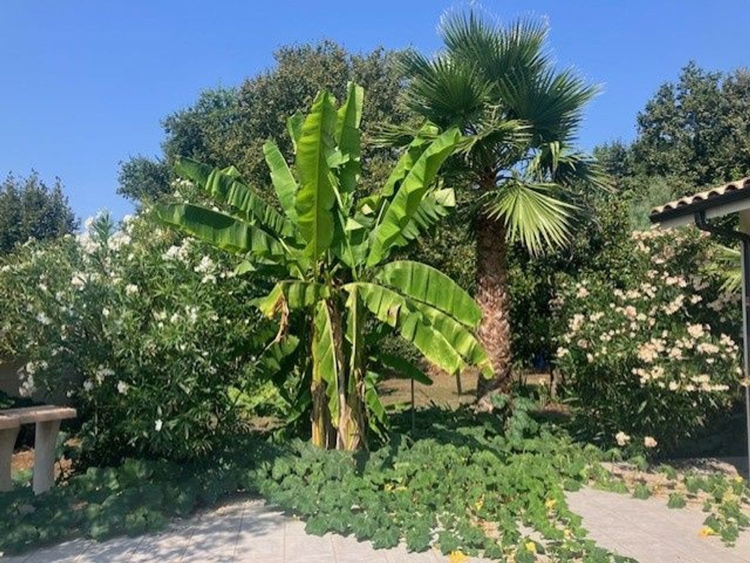 Maison à vendre, 100m², Vensac
