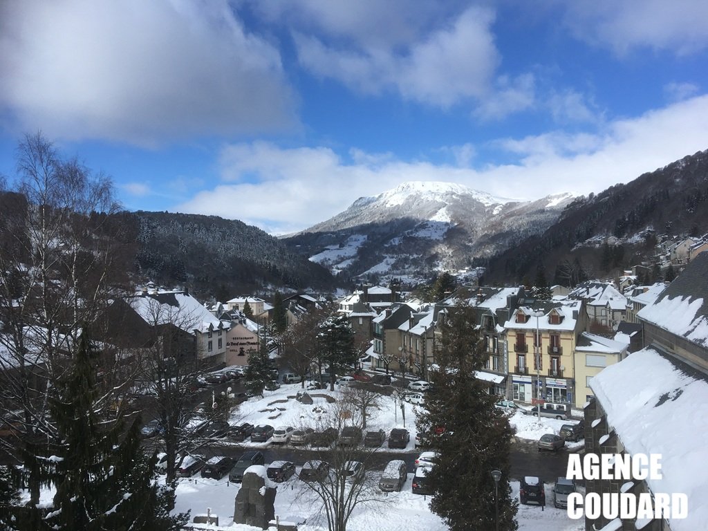 Appartement à vendre, 36m², Mont-Dore