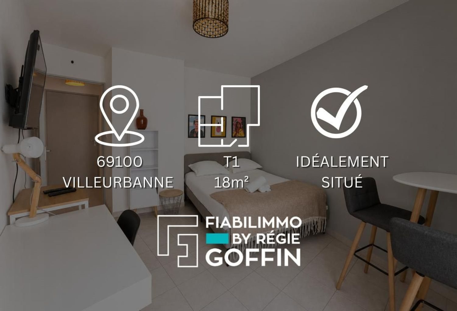 Appartement à vendre, 18m², Villeurbanne