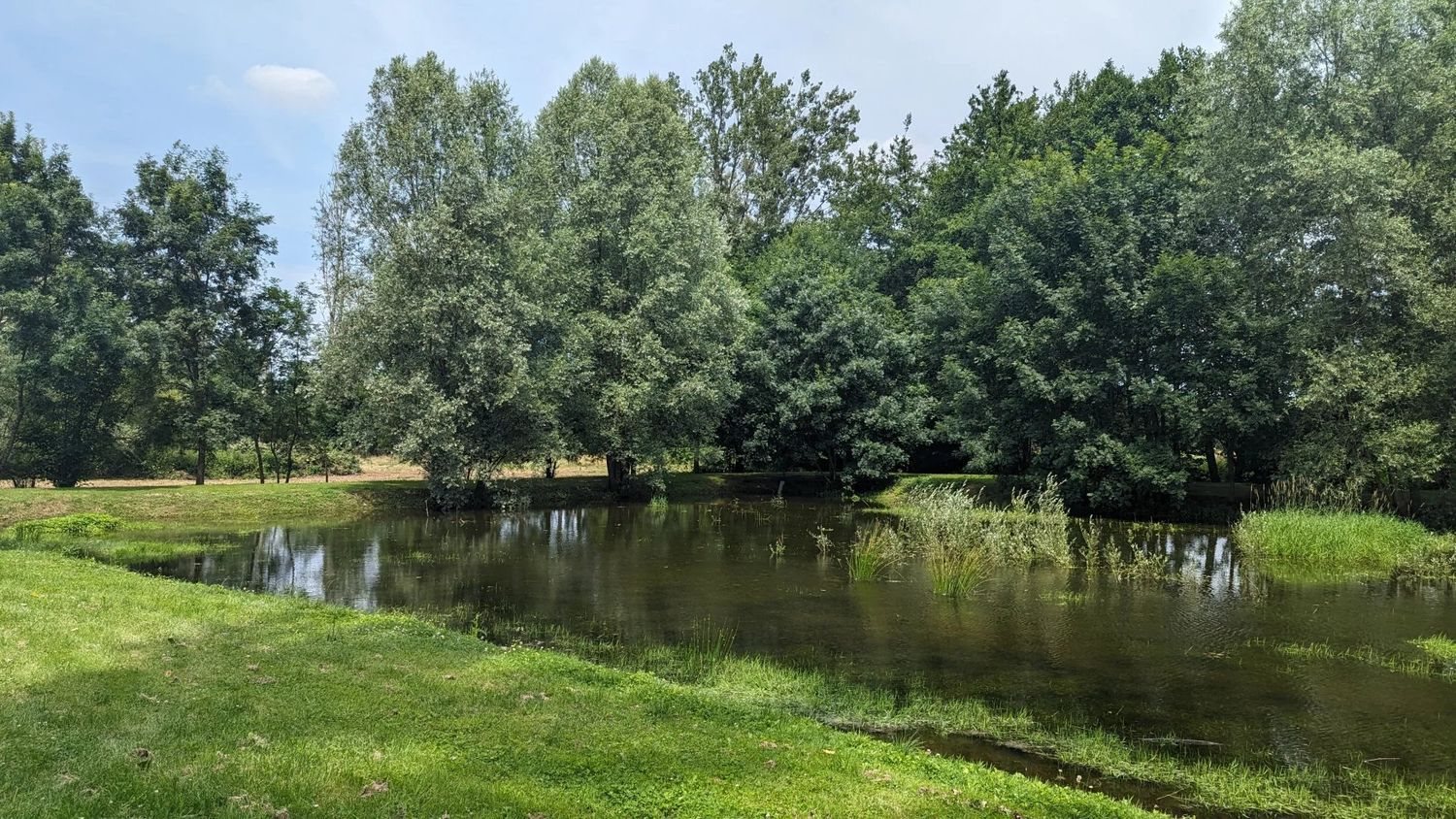 Maison à vendre, 183m², Aubigny-sur-Nère