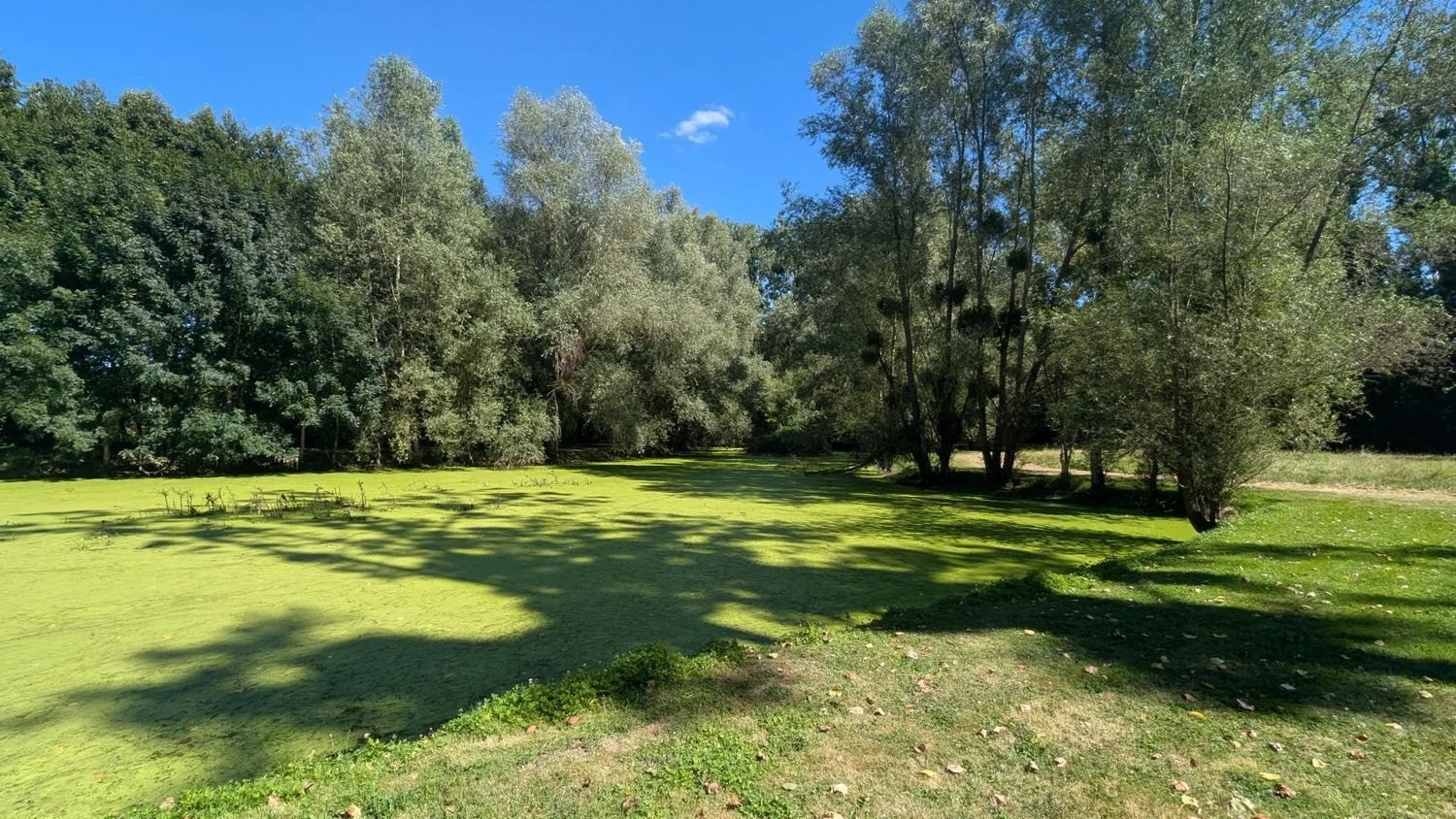 Maison à vendre, 183m², Aubigny-sur-Nère