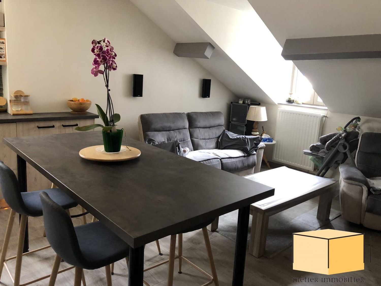 Appartement à vendre, 34m², Aix-les-Bains
