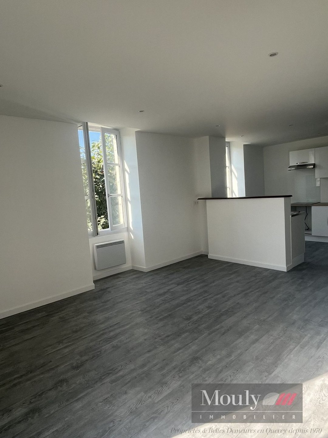 Appartement à louer, 78m², Pradines
