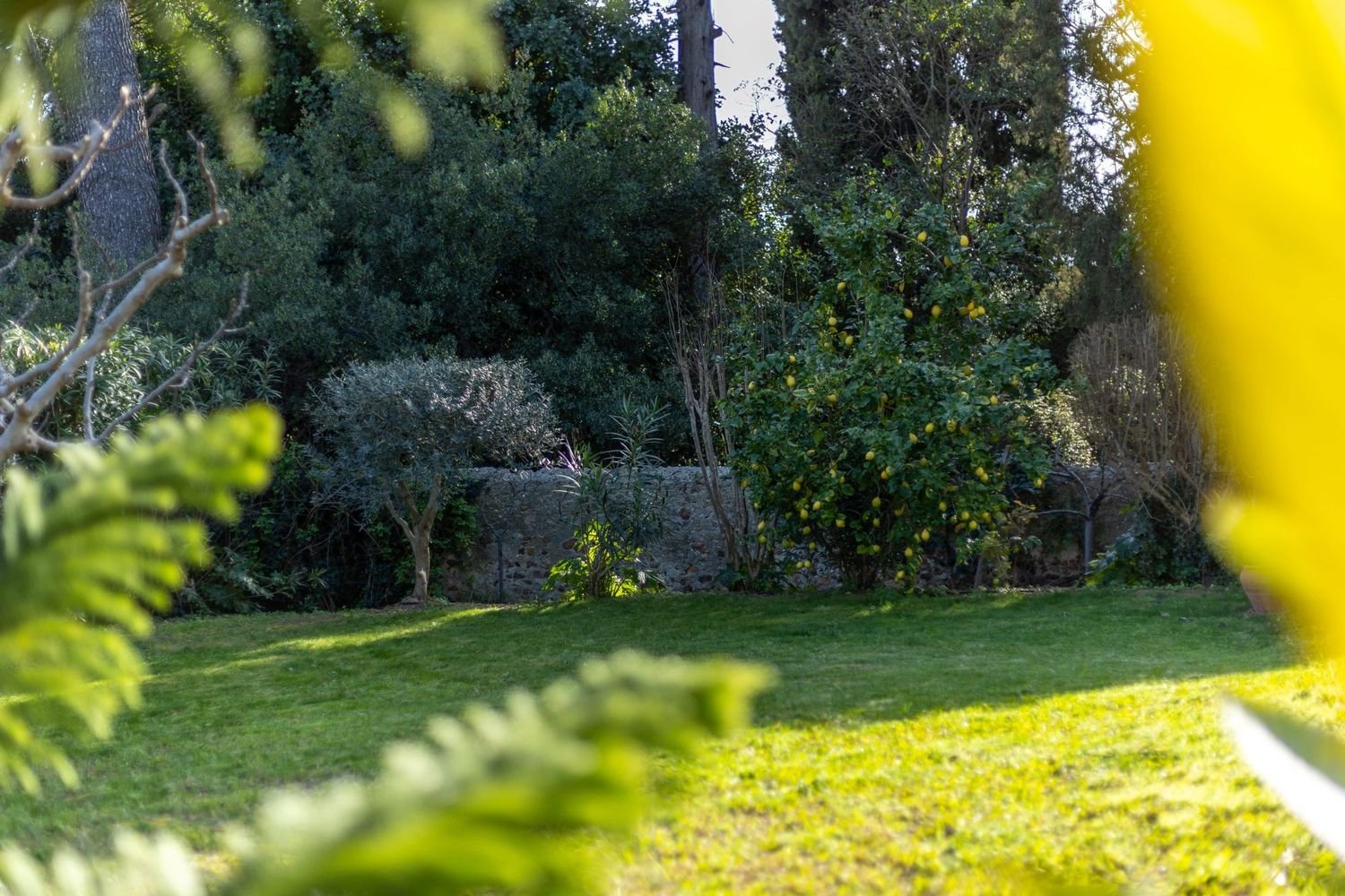 Maison à vendre, 200m², Hyères
