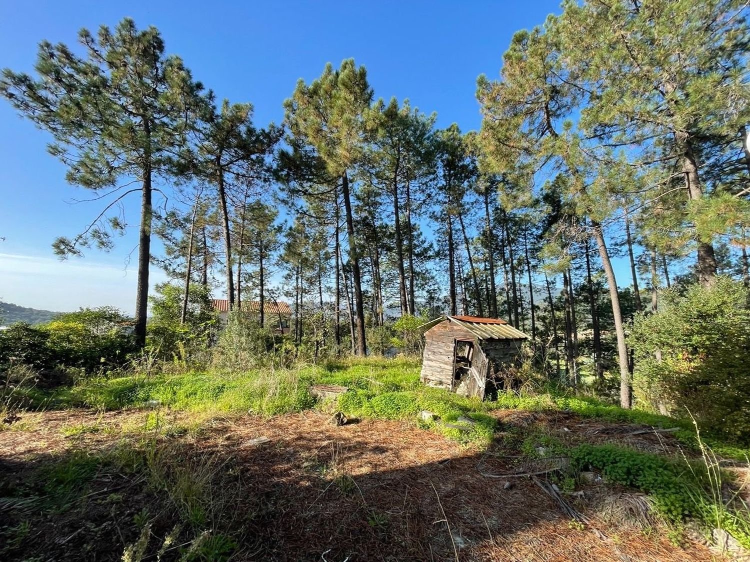 Appartement à vendre, 45m², Ajaccio