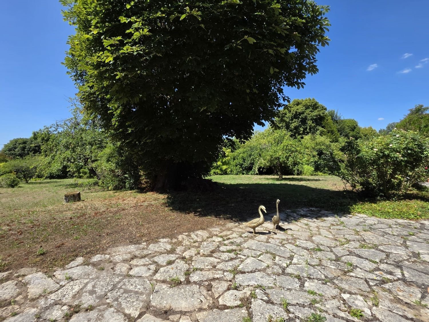 Maison à vendre, 191m², Fontainebleau