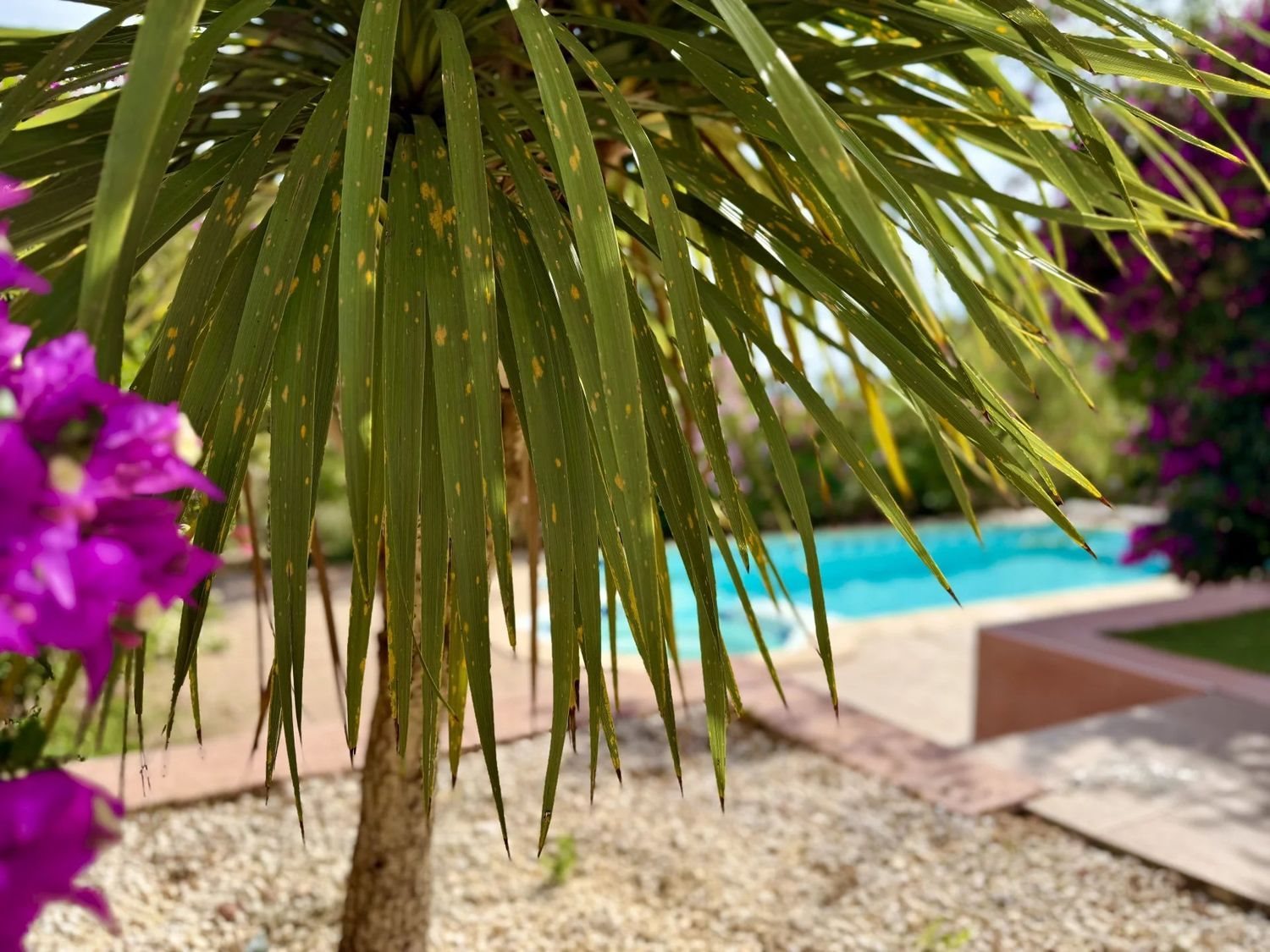 Maison à vendre, 145m², Fitou