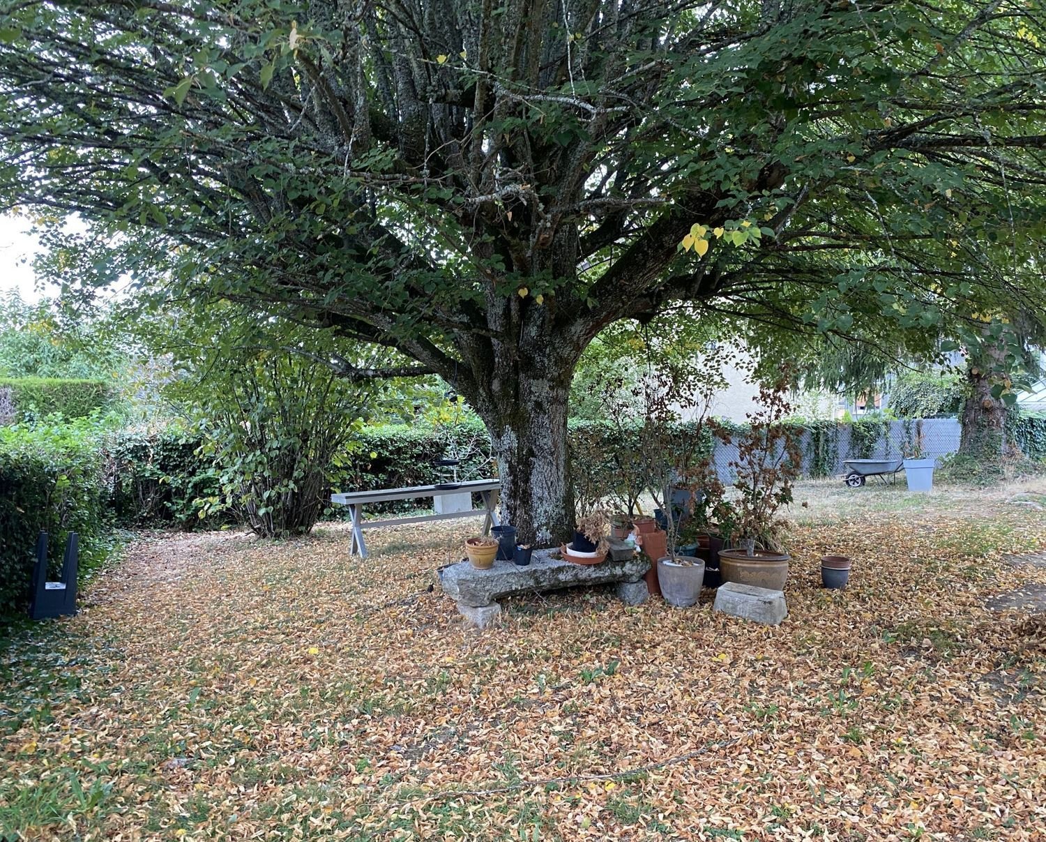 Maison à vendre, 134m², Châteauneuf-la-Forêt