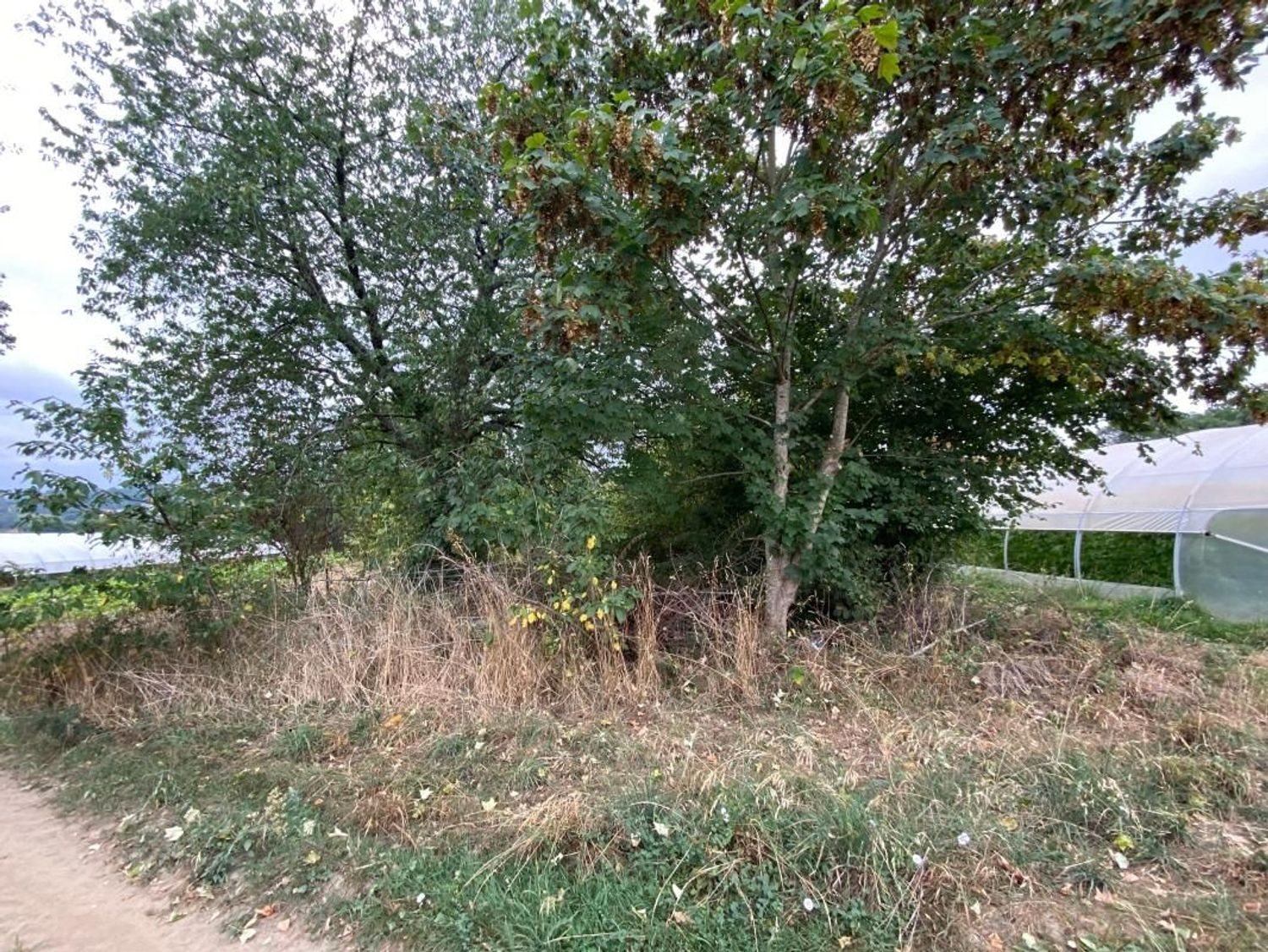 Maison à vendre, 141m², Limoges