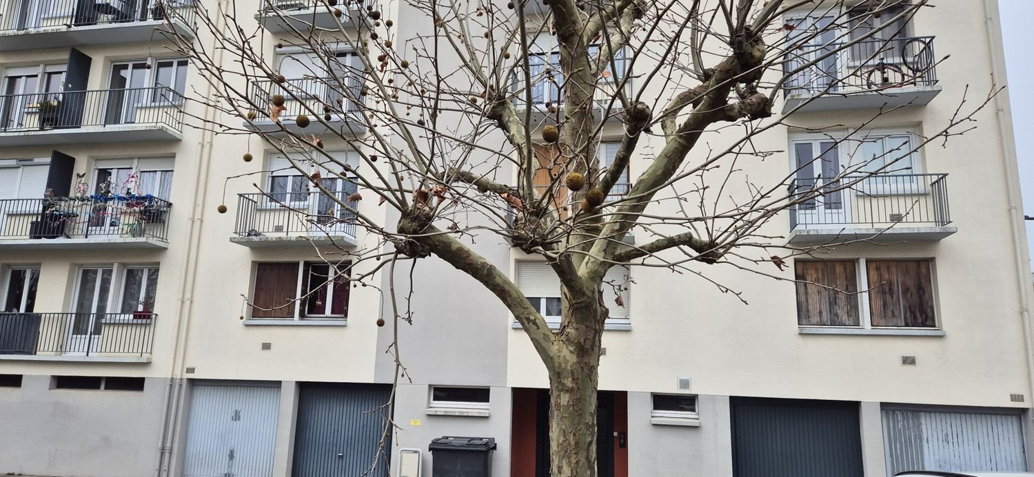 Appartement à vendre, 28m², Laval