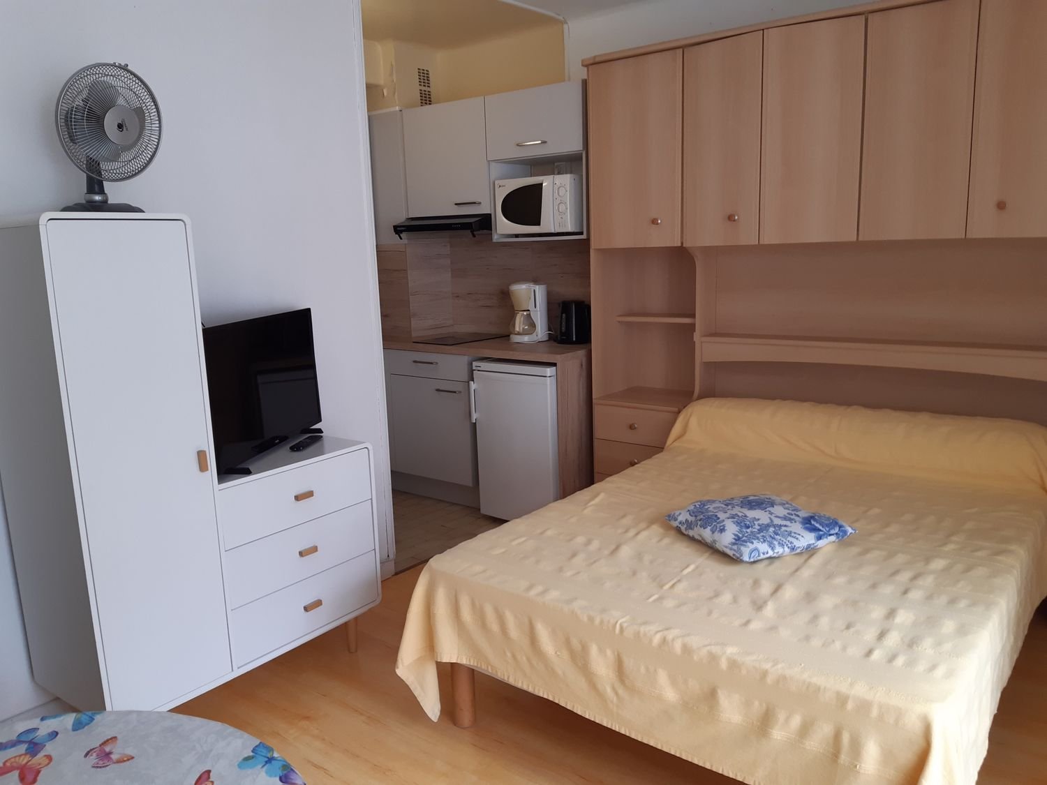 Appartement à vendre, 20m², Amélie-les-Bains-Palalda
