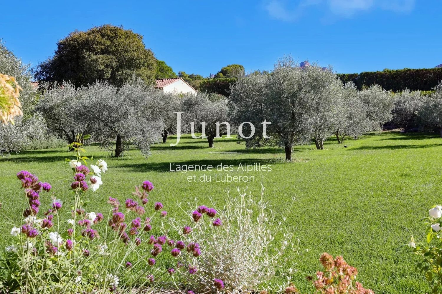 Maison à louer, 290m², Saint-Rémy-de-Provence