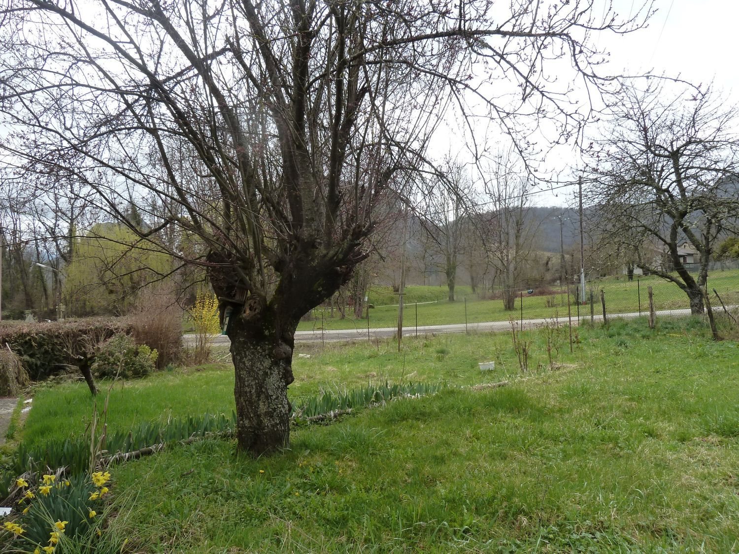 Maison à vendre, 60m², Saurat