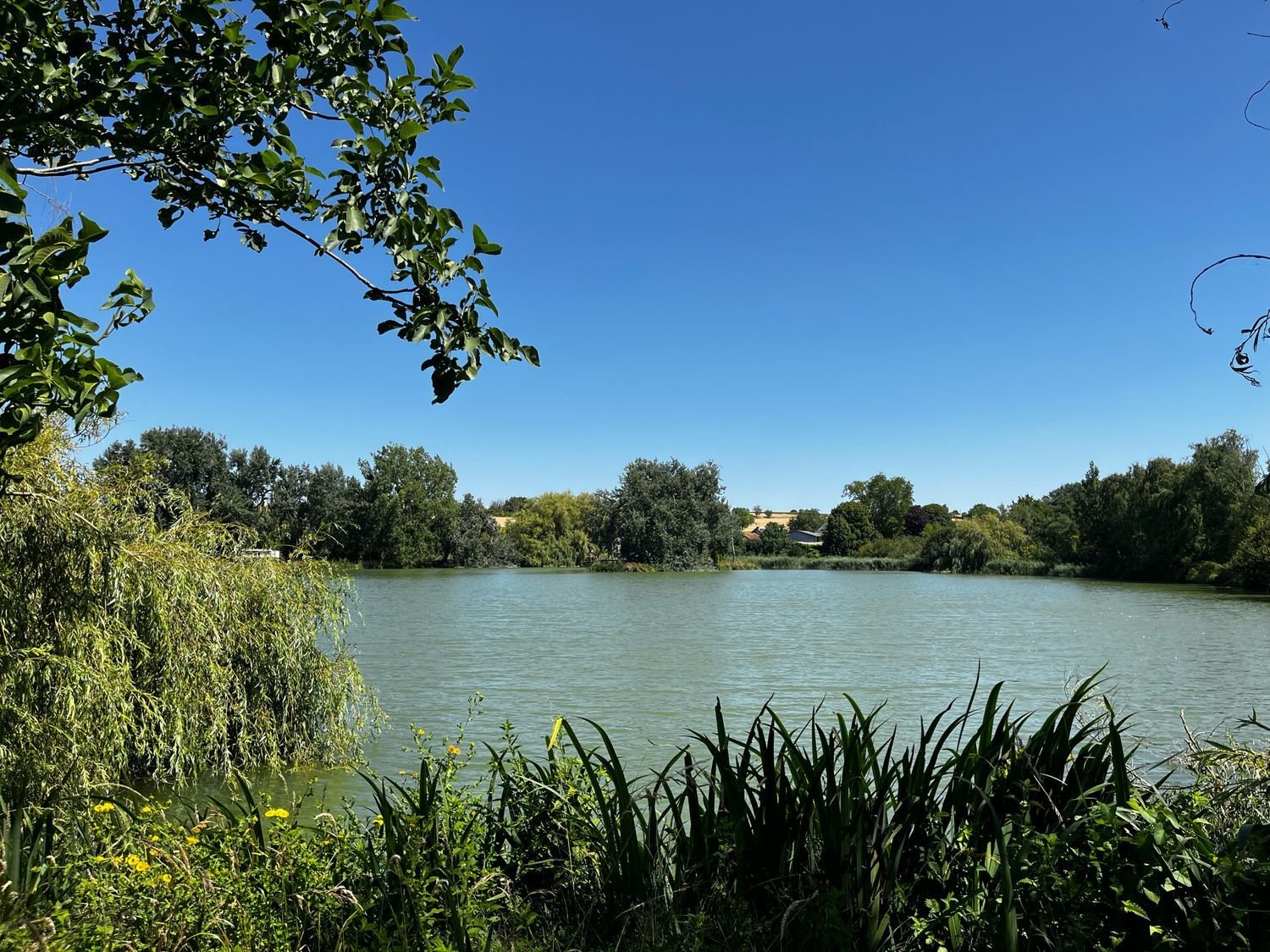 Maison à vendre, 213m², Poitiers
