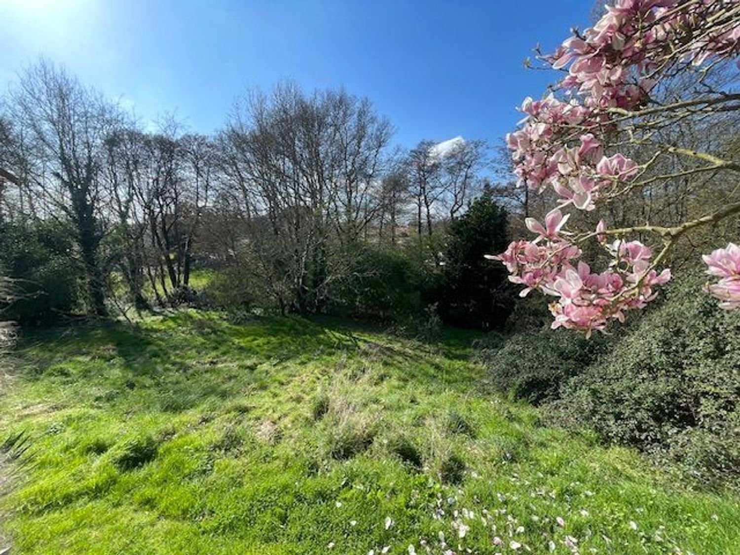 Maison à vendre, 165m², Grosbreuil