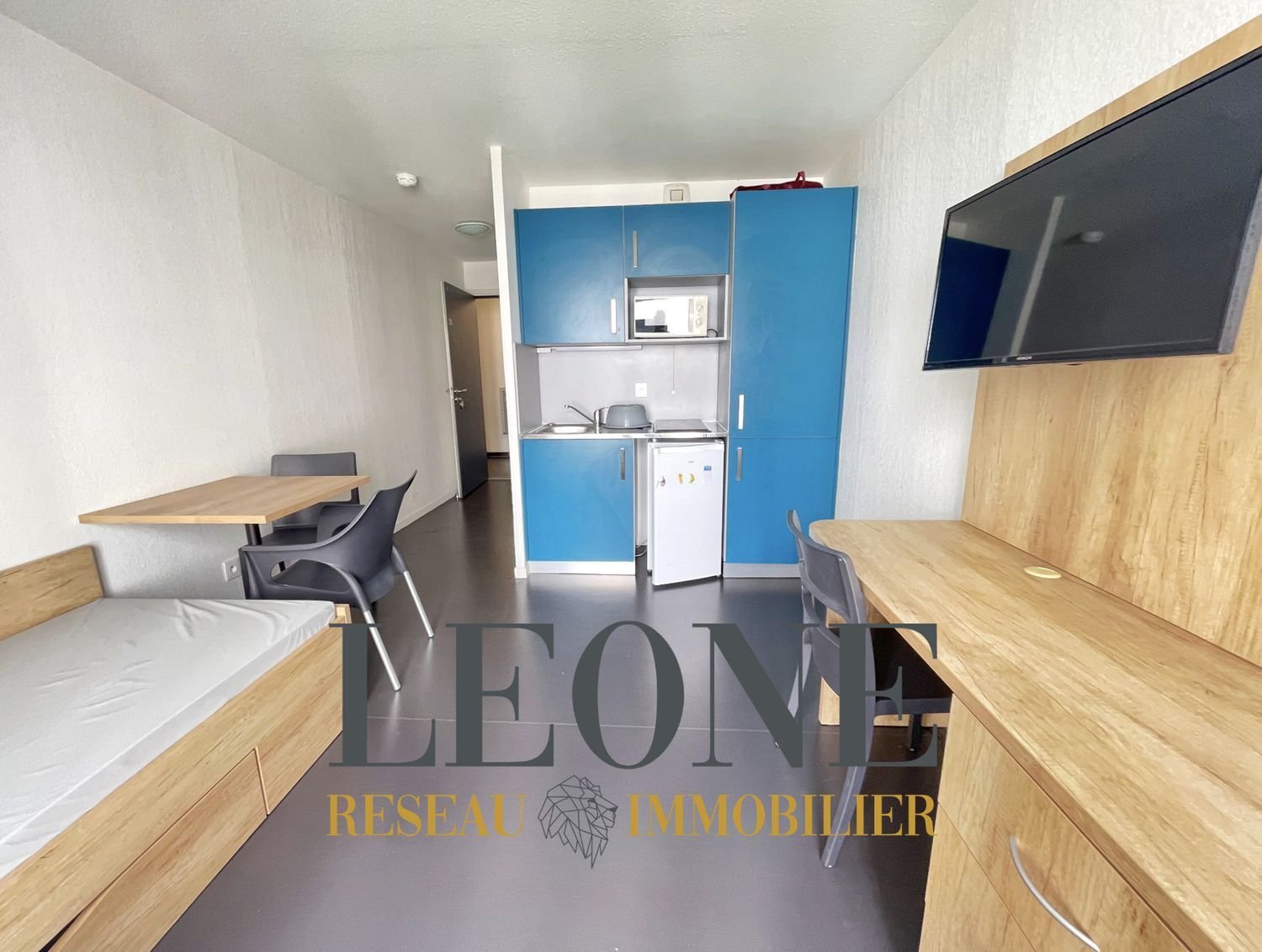 Appartement à vendre, 19m², Oullins