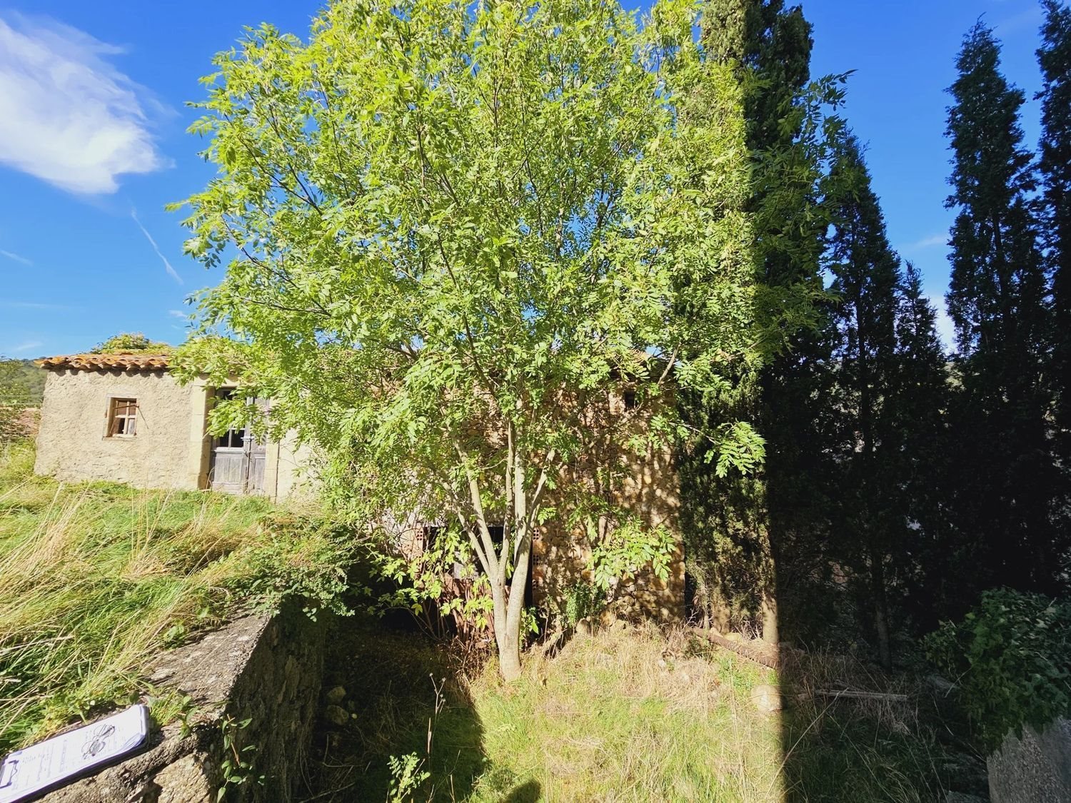 Maison à vendre, 248m², Rieux-Minervois