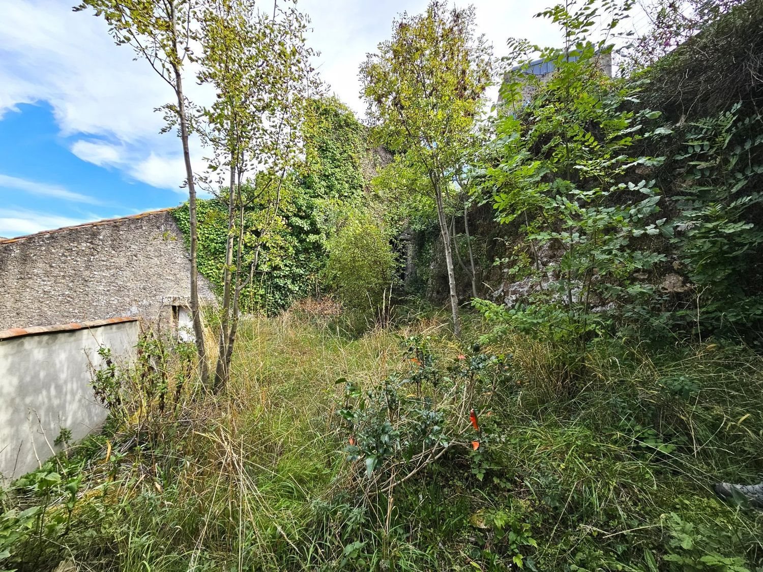 Maison à vendre, 248m², Rieux-Minervois