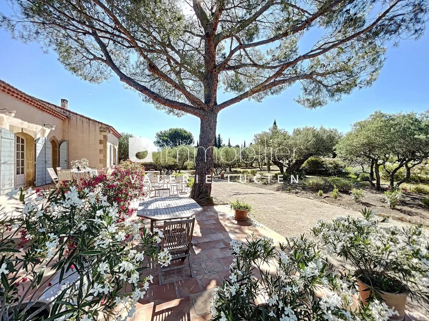 Maison à louer, 180m², Saint-Rémy-de-Provence
