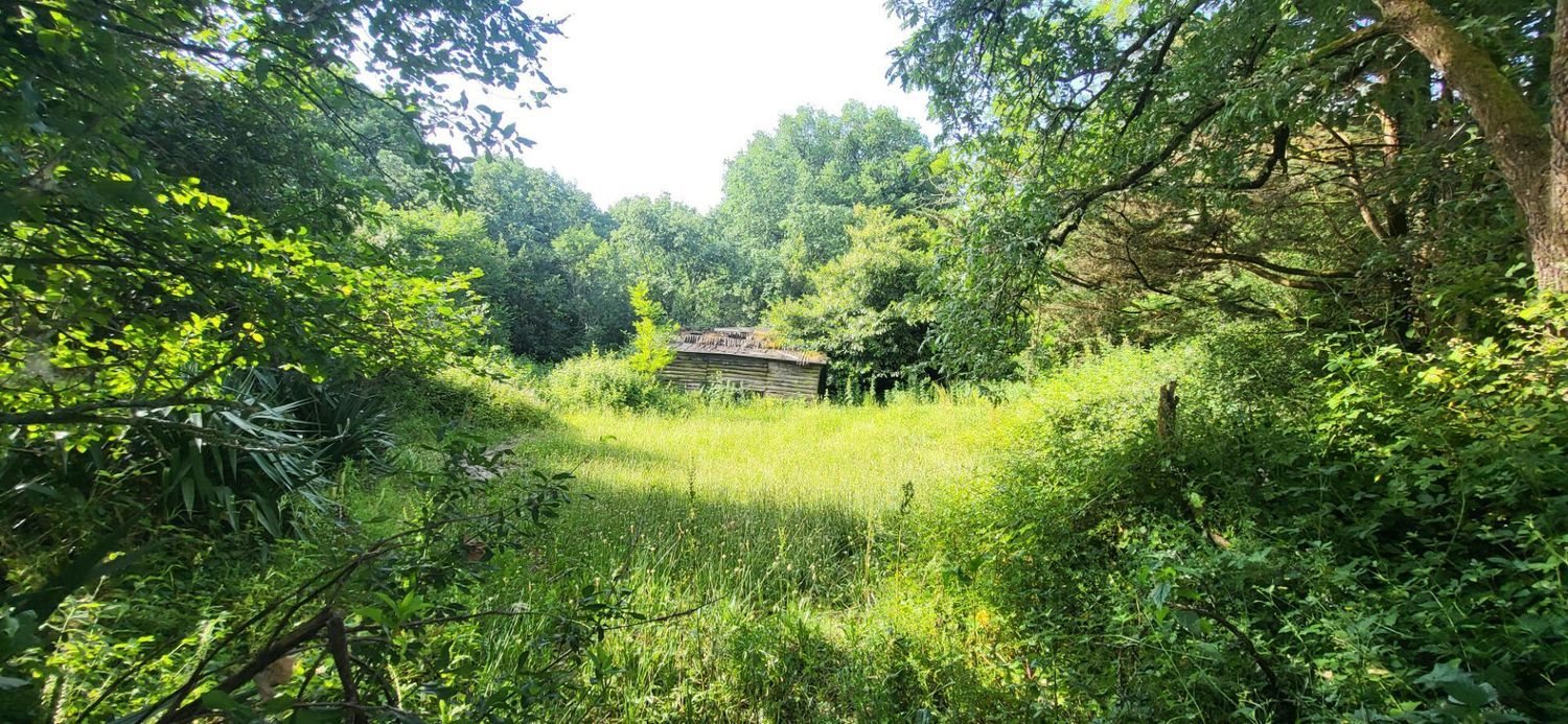 Maison à vendre, 93m², Vigneux-de-Bretagne