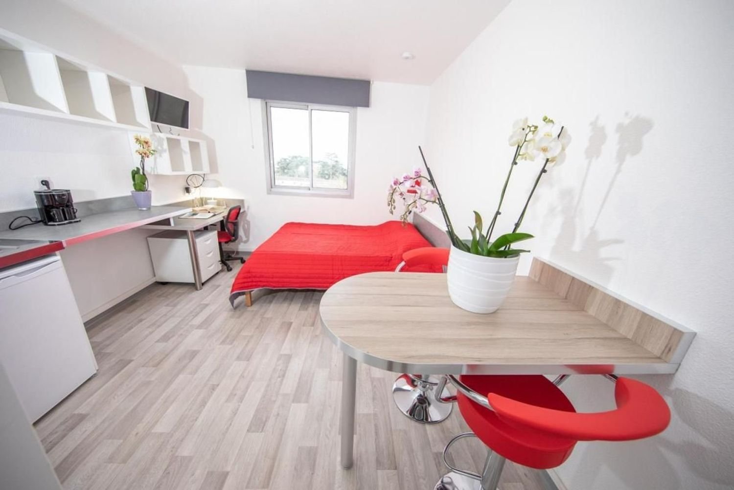 Appartement à louer, 20m², Toulouse