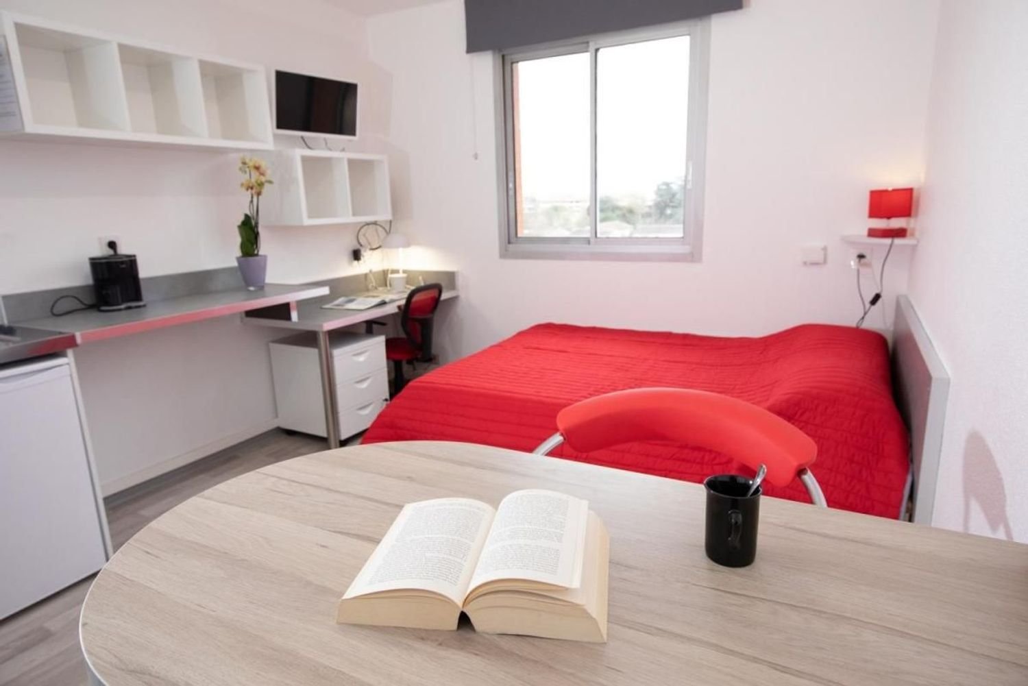Appartement à louer, 20m², Toulouse