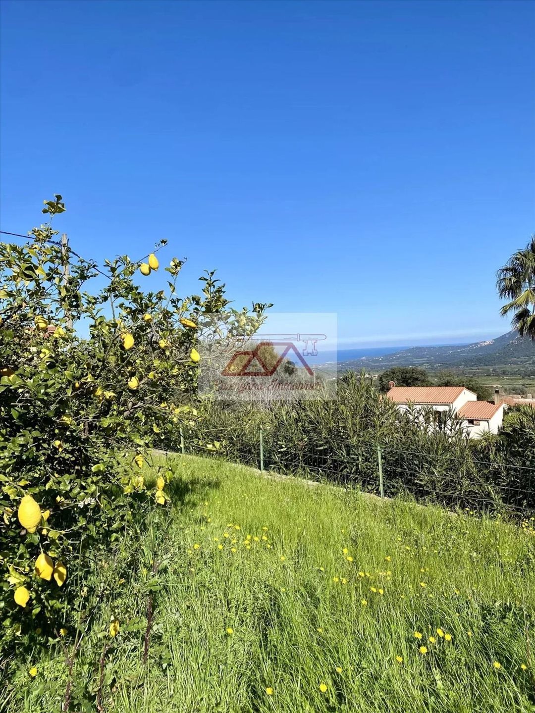 Appartement à louer, 110m², Calenzana