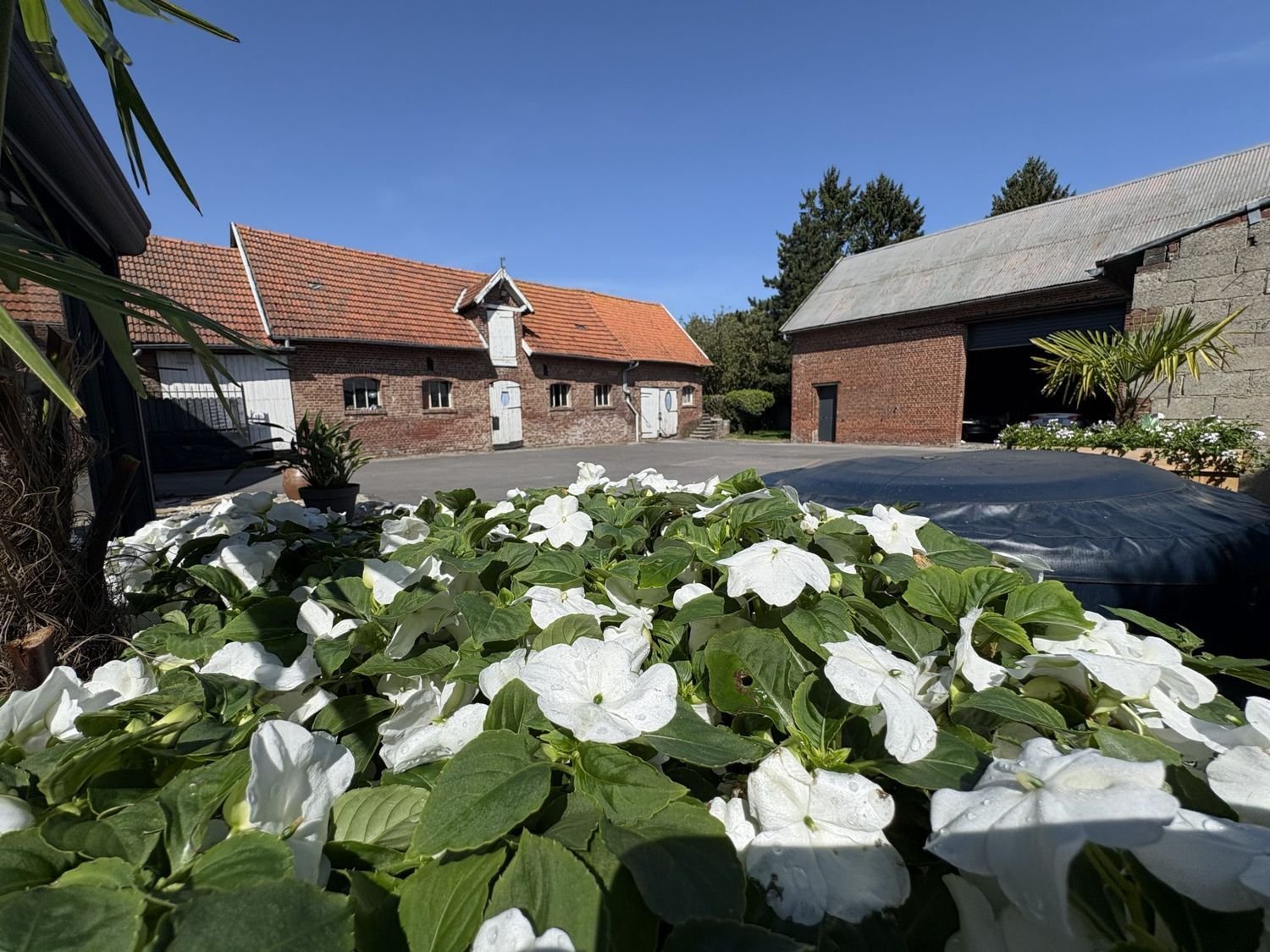 Maison à vendre, 202m², Avesnes-lès-Bapaume