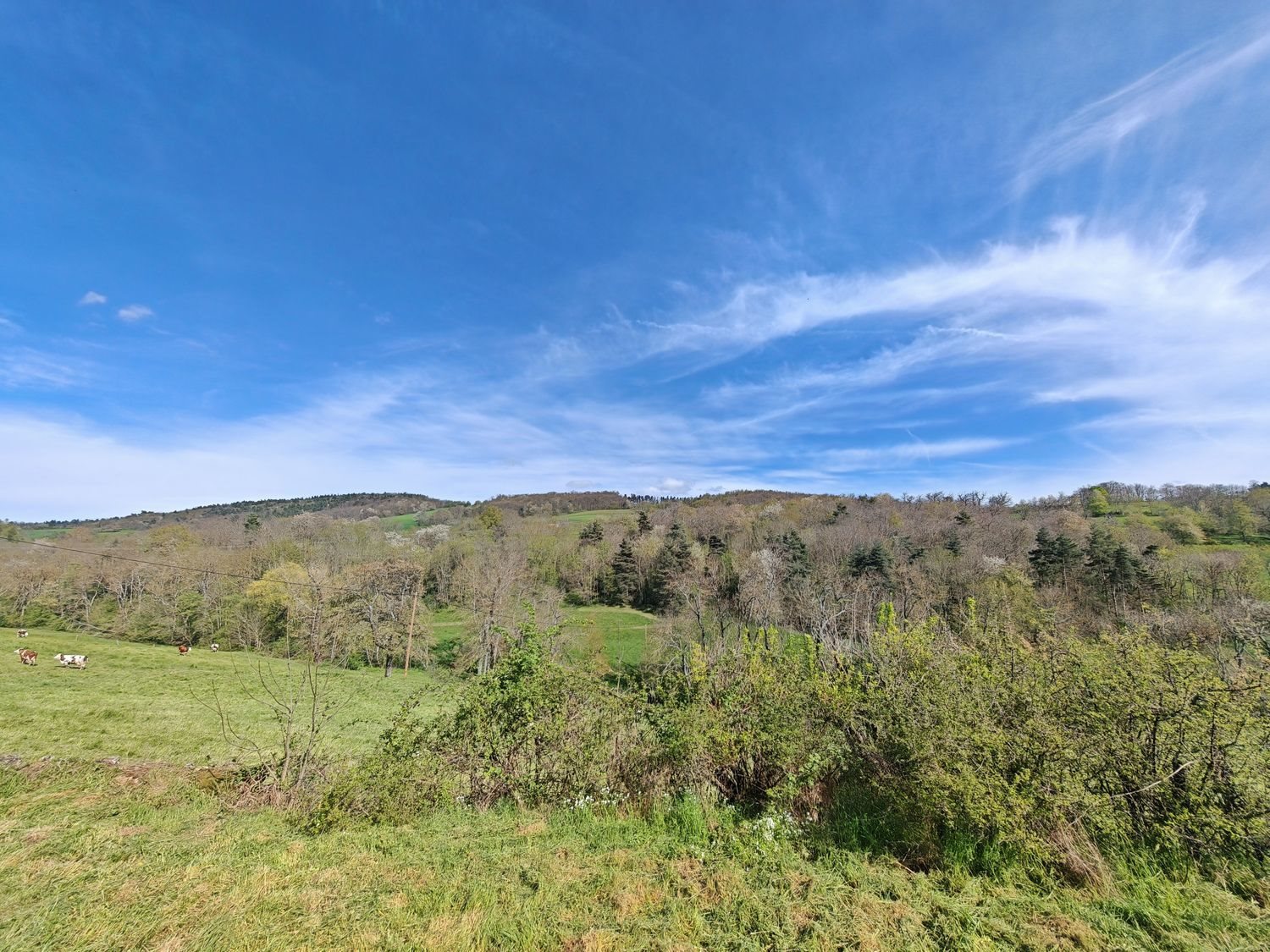 Maison à vendre, 80m², Vernoux-en-Vivarais