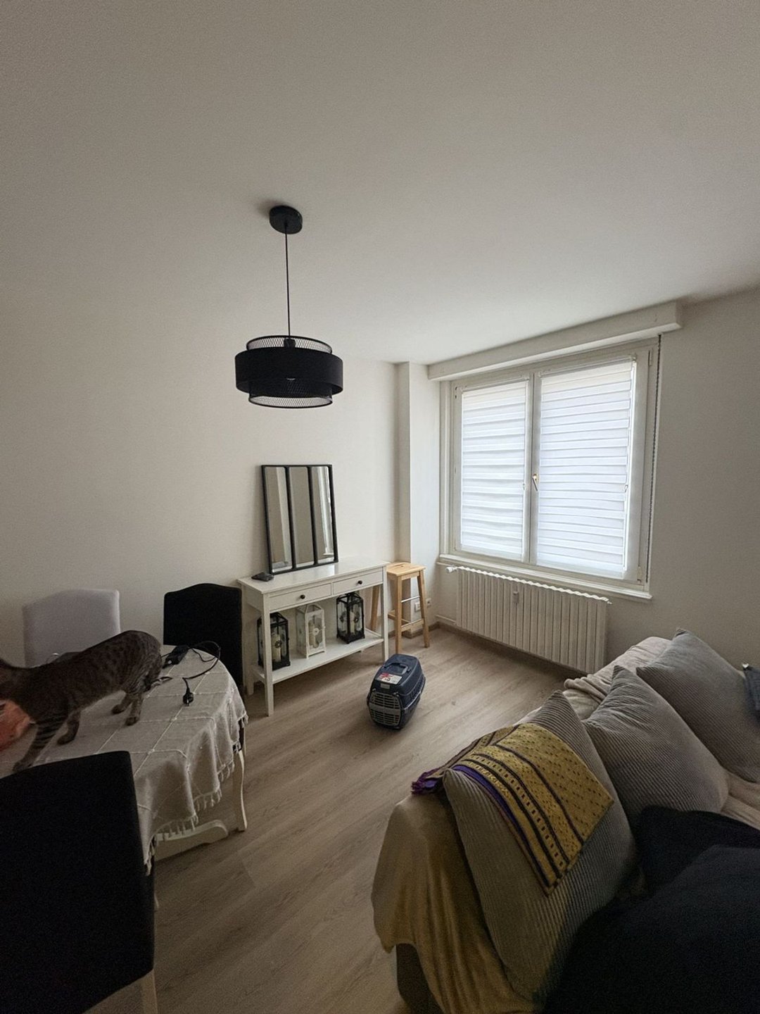 Appartement à vendre, 43m², Schiltigheim